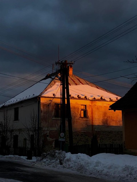 Active Citizenship Campaign1SK Results