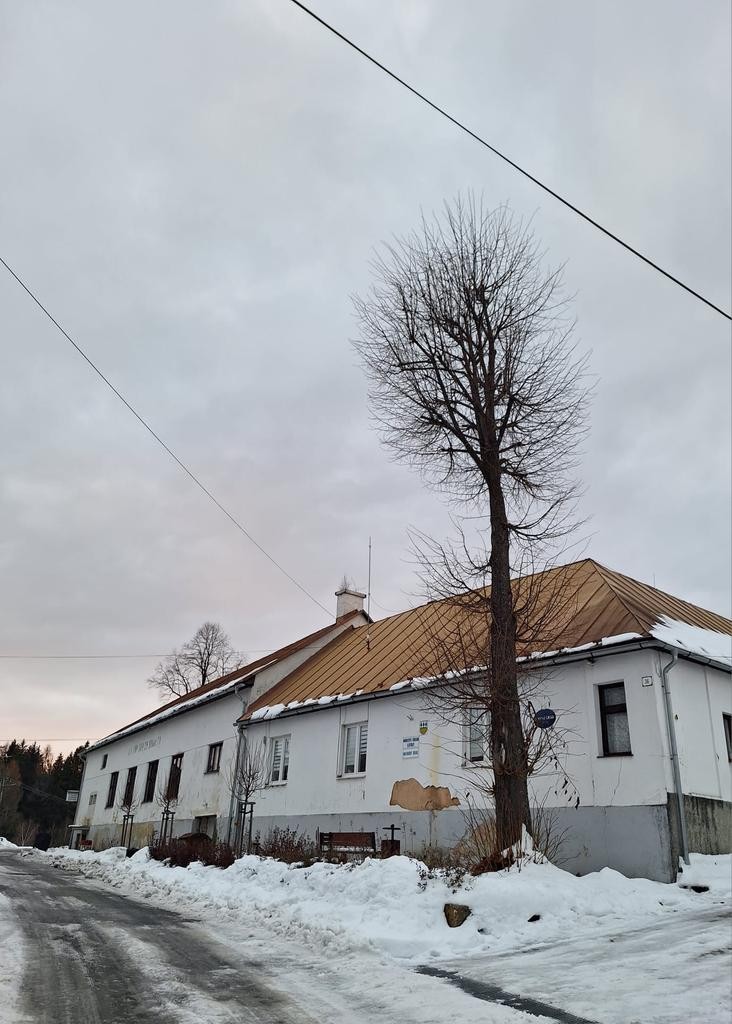 Active Citizenship Campaign1SK Results