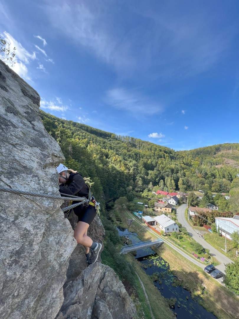 CZ Vir Local Training