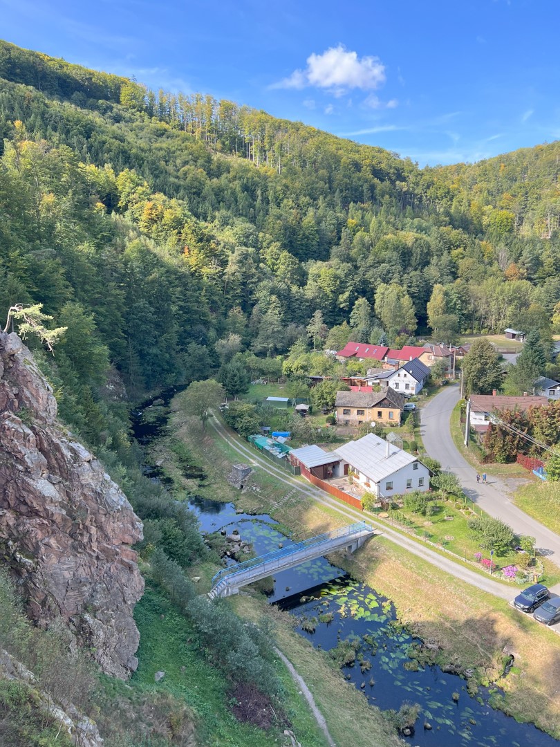 CZ Vir Local Training