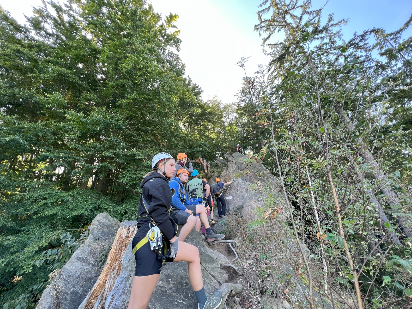 CZ Vir Local Training