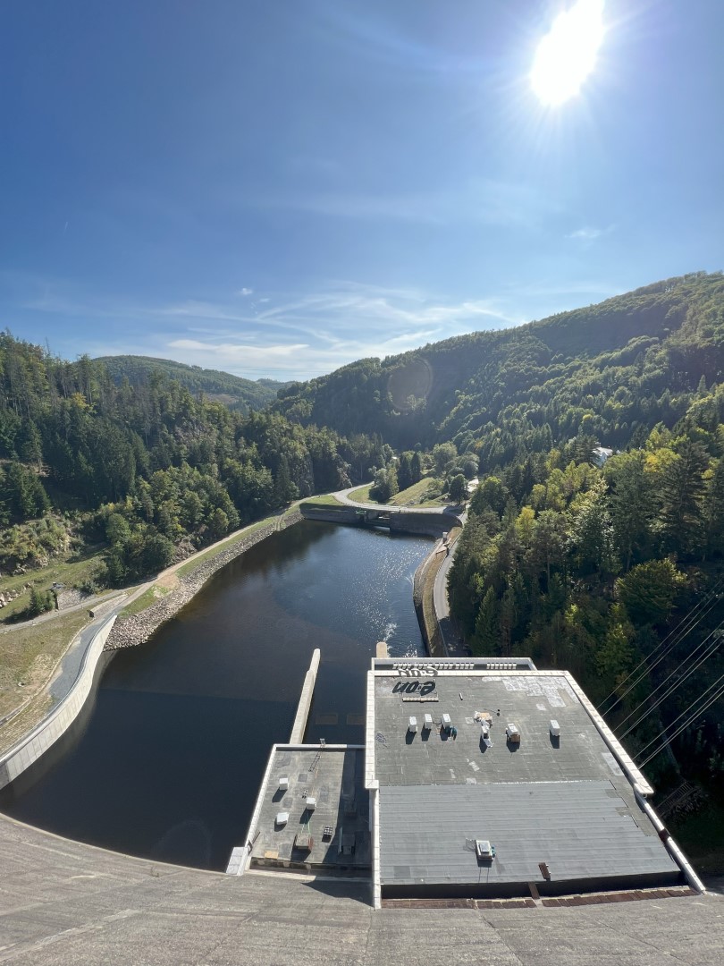 CZ Vir Local Training