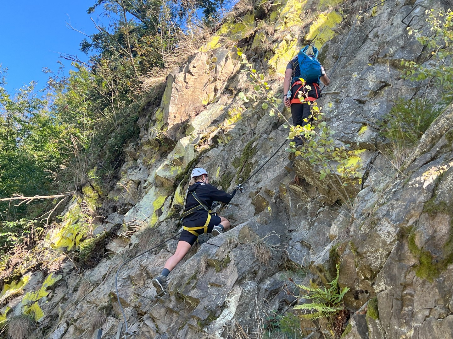 CZ Vir Local Training