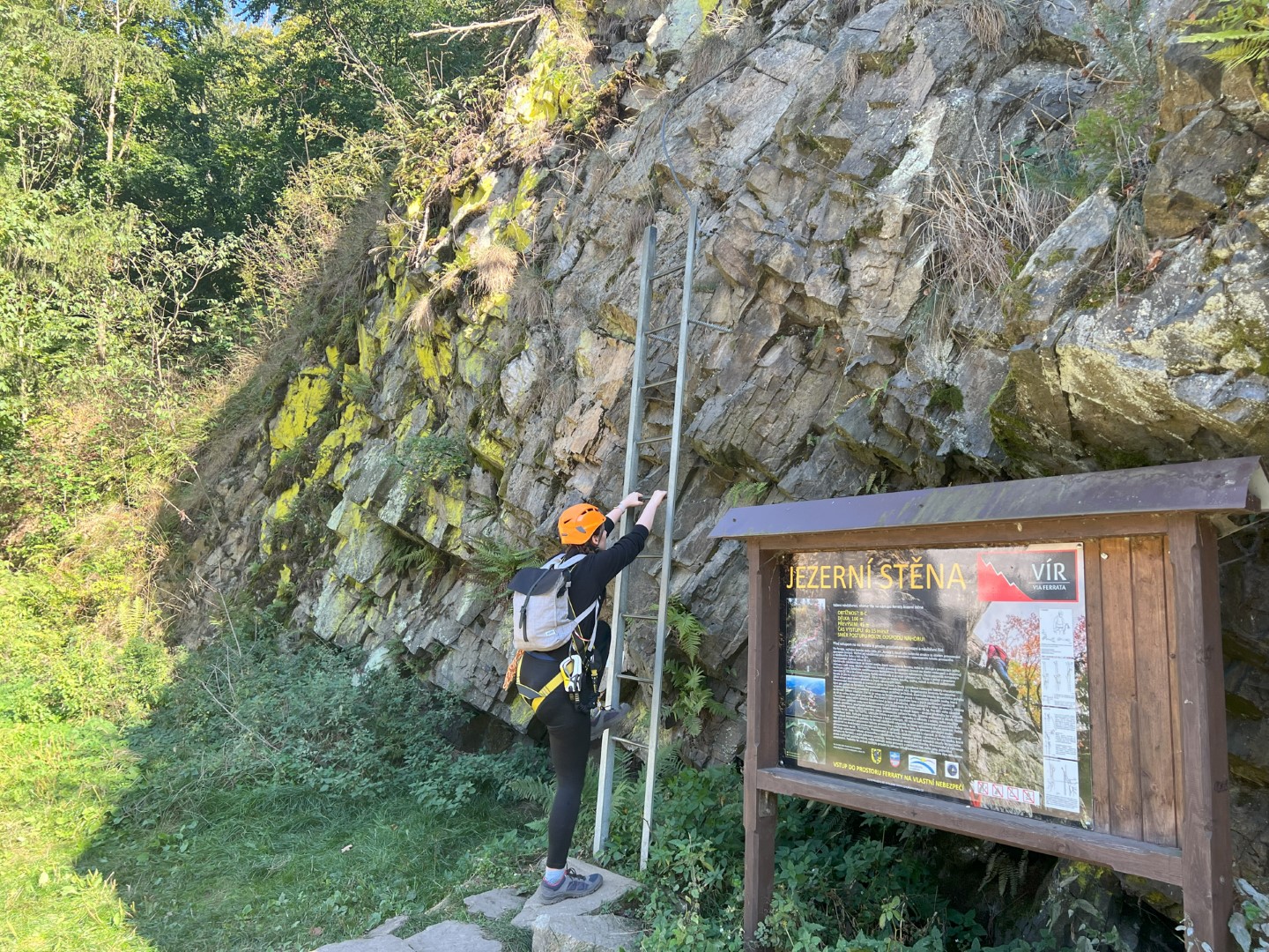 CZ Vir Local Training