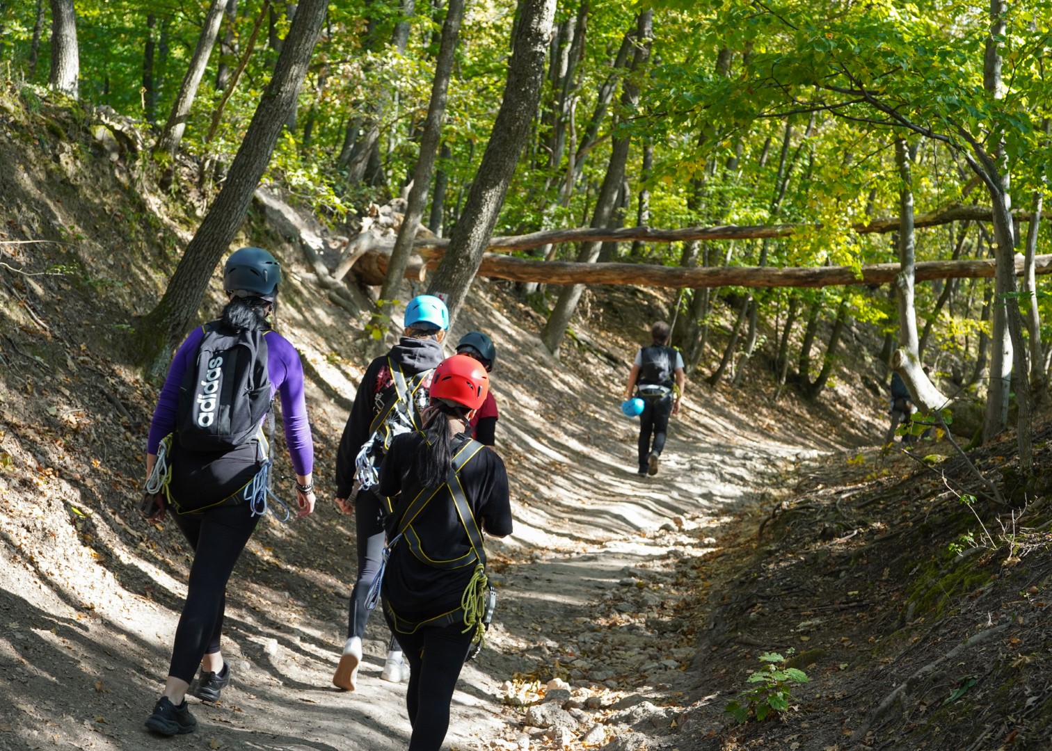 HU VF06 Megyer Hegyi