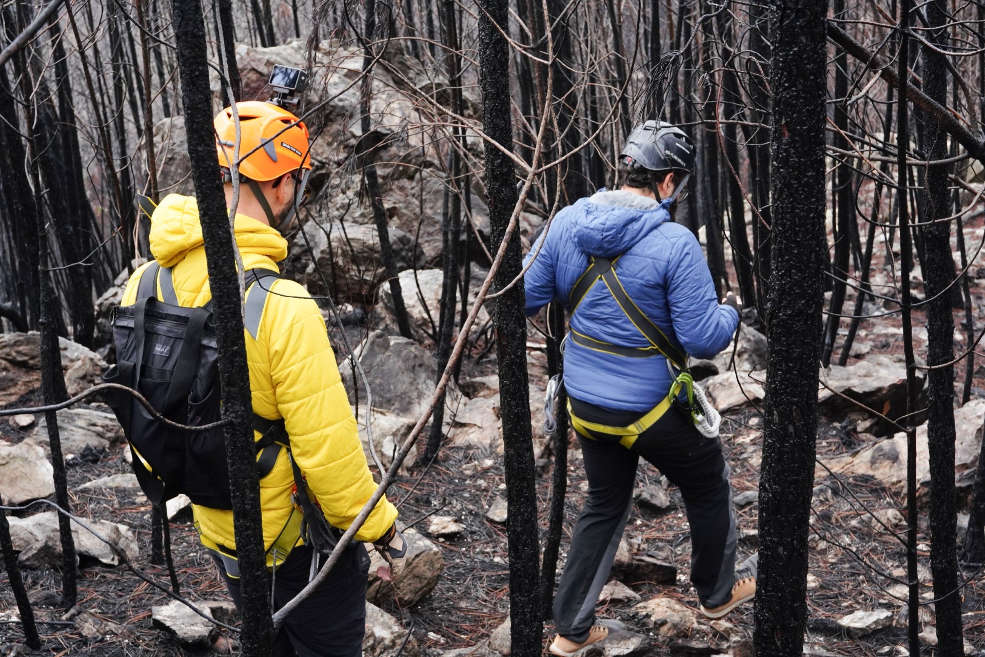 PT VF07 Serra Das Talhadas