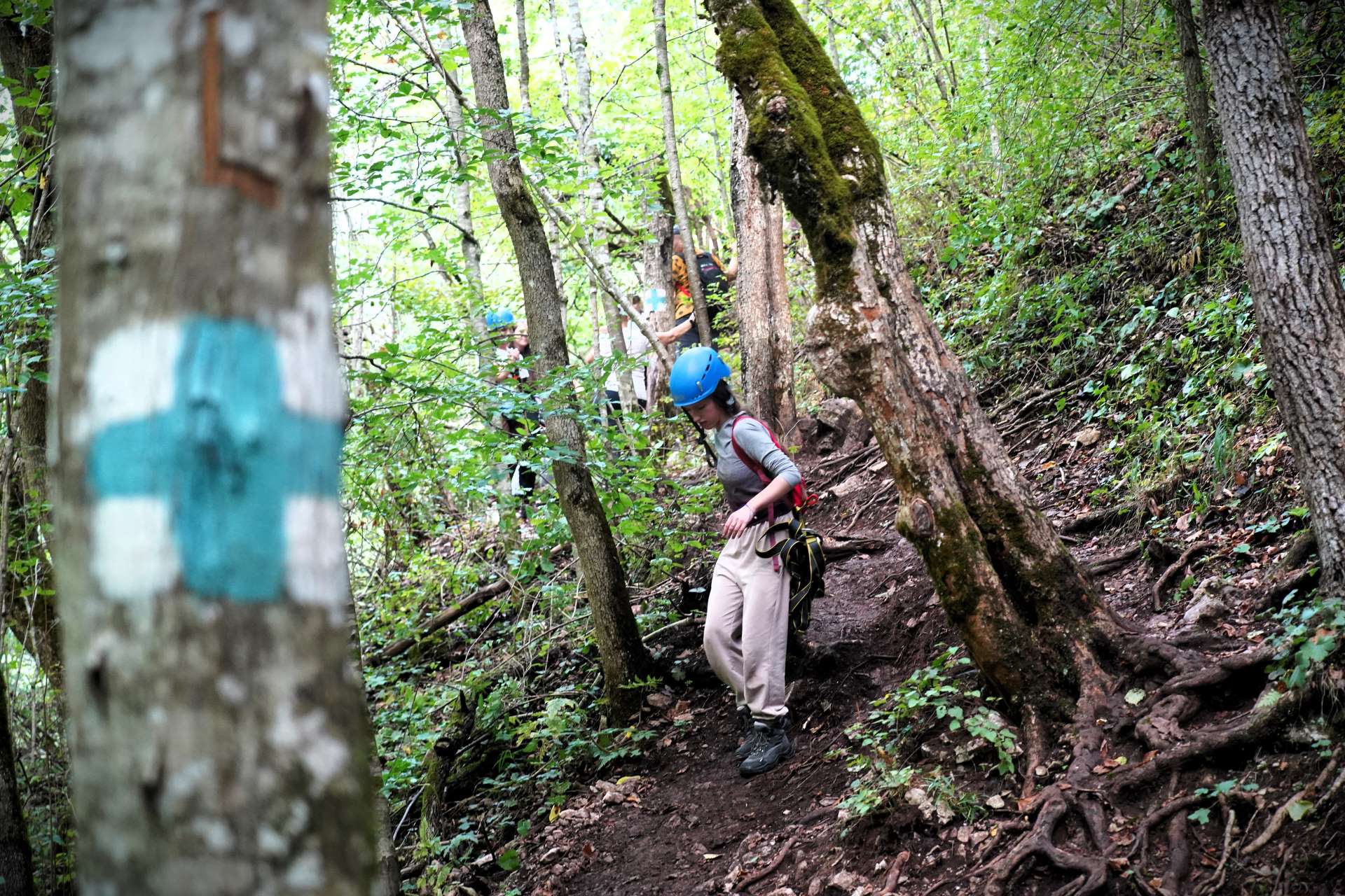 CO Cheile Vargisului