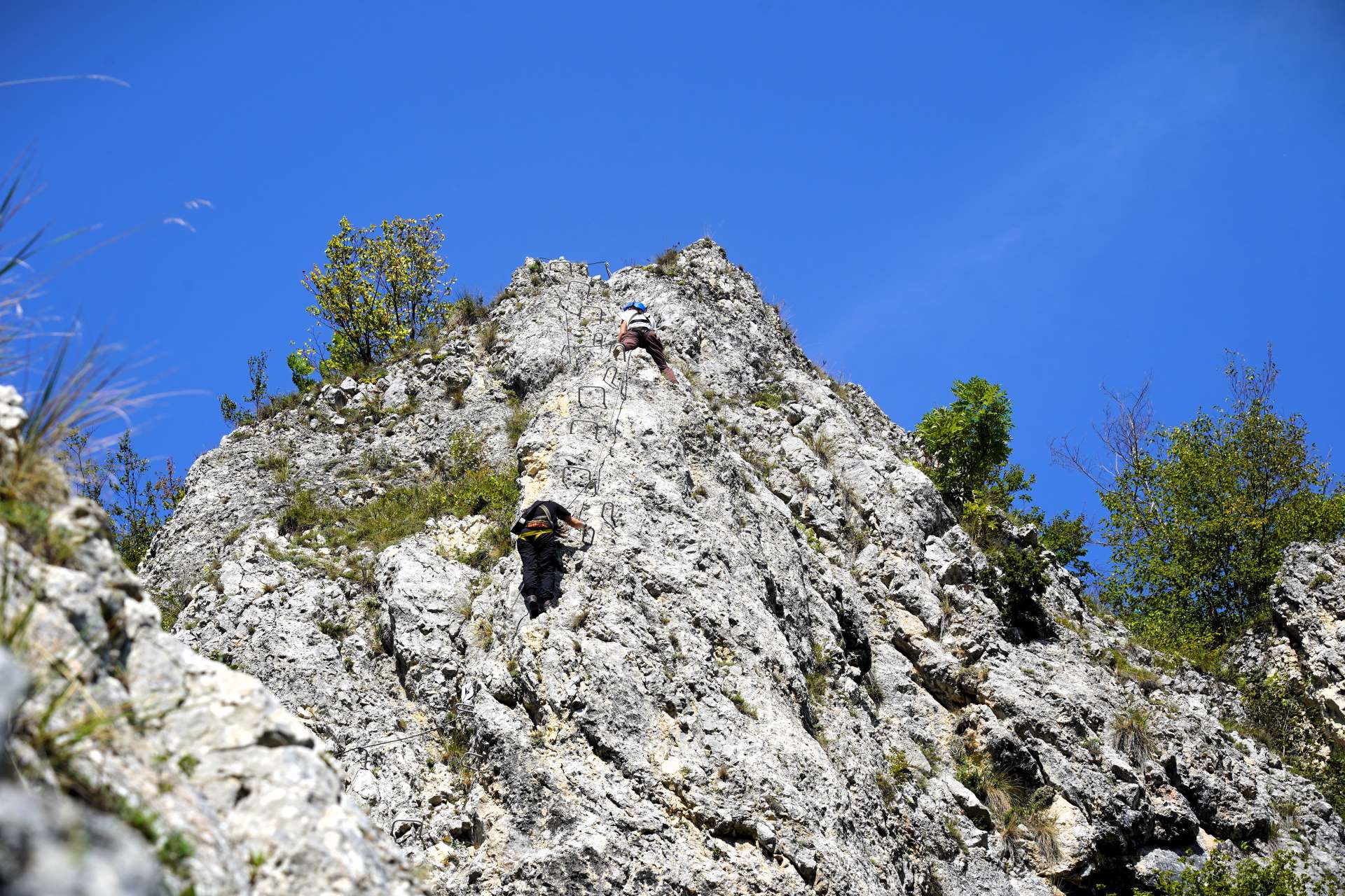 CO Cheile Vargisului