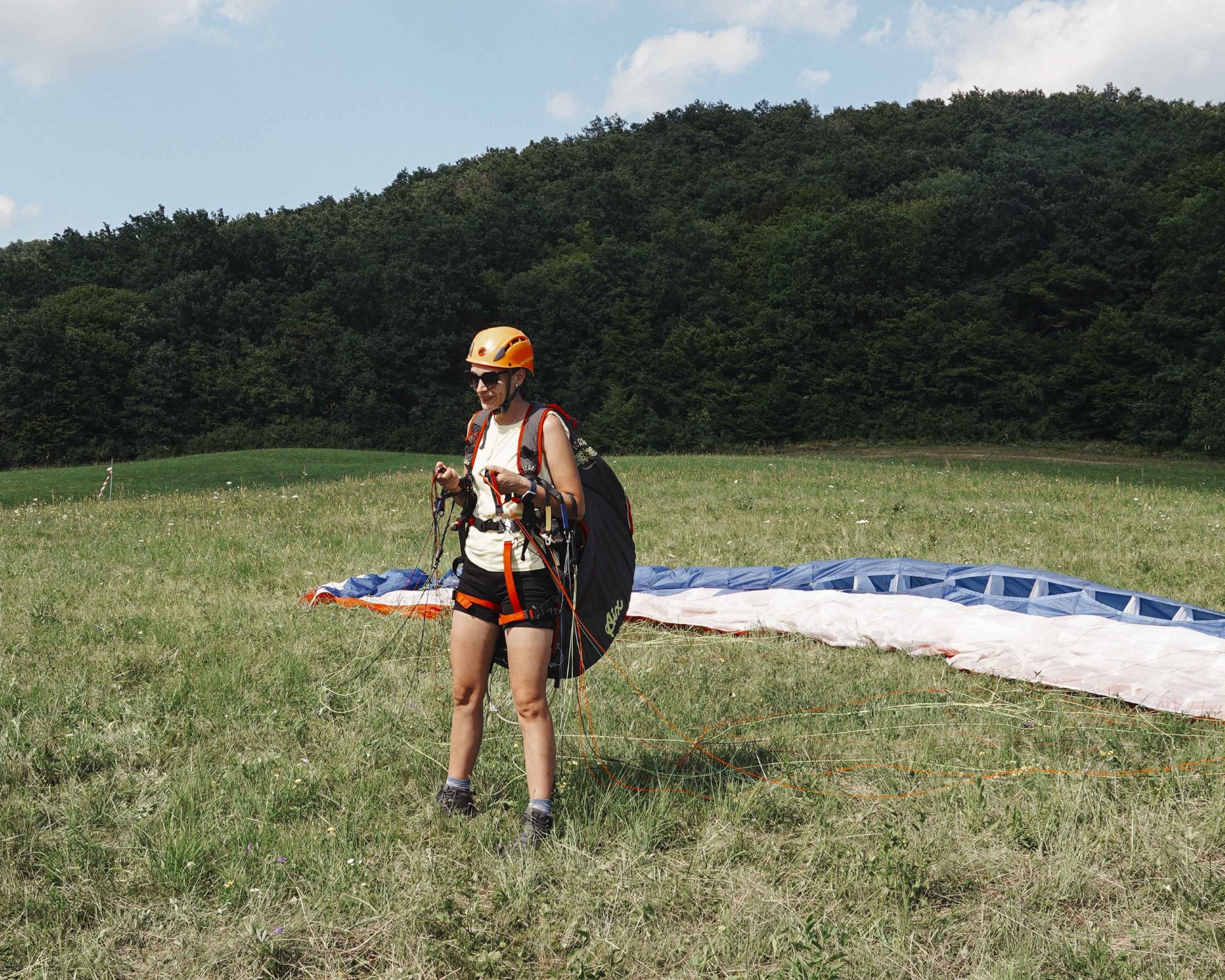 UP D4 SK Spring Flyzone