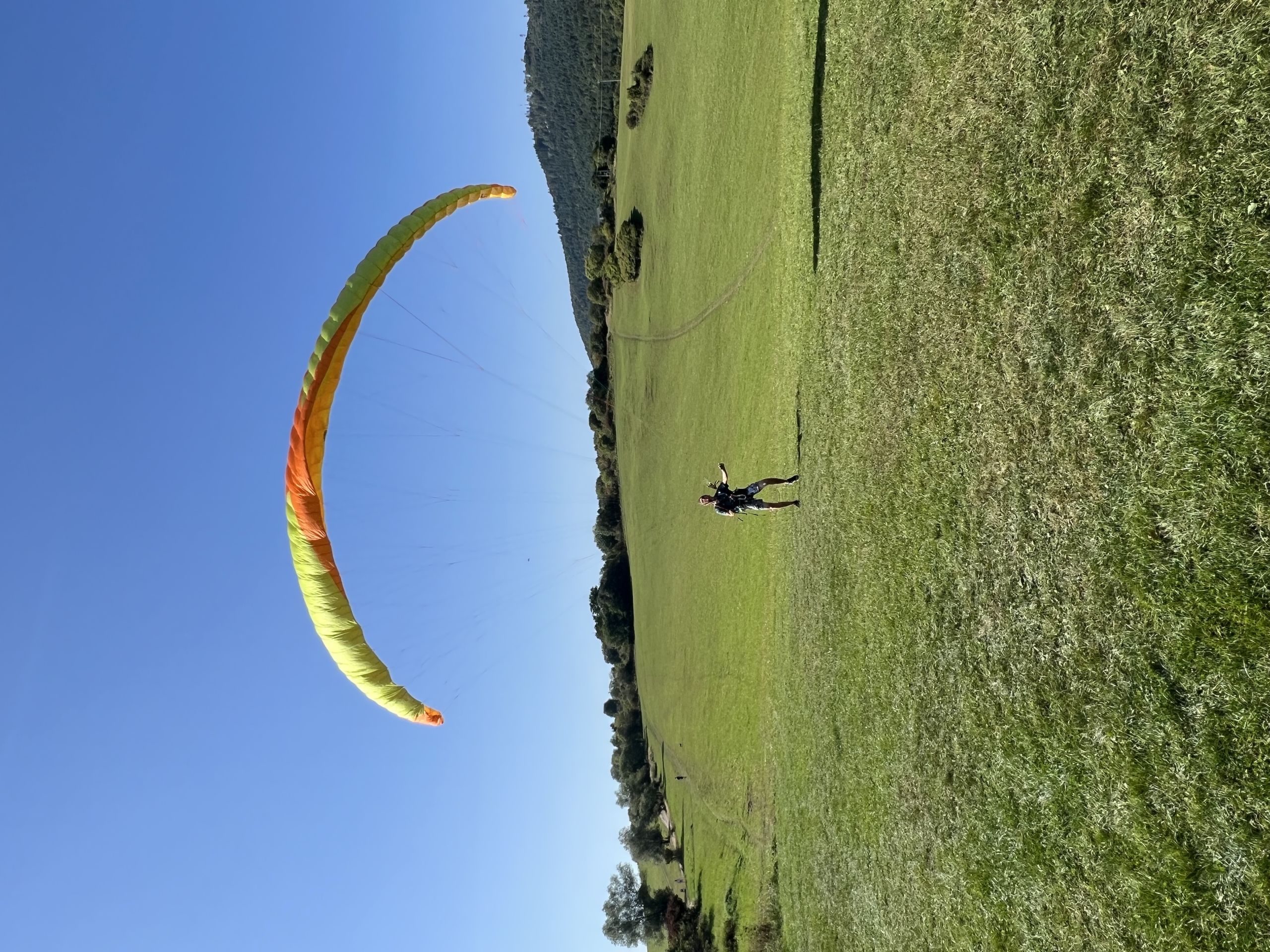 UP D5 SK Spring X Air