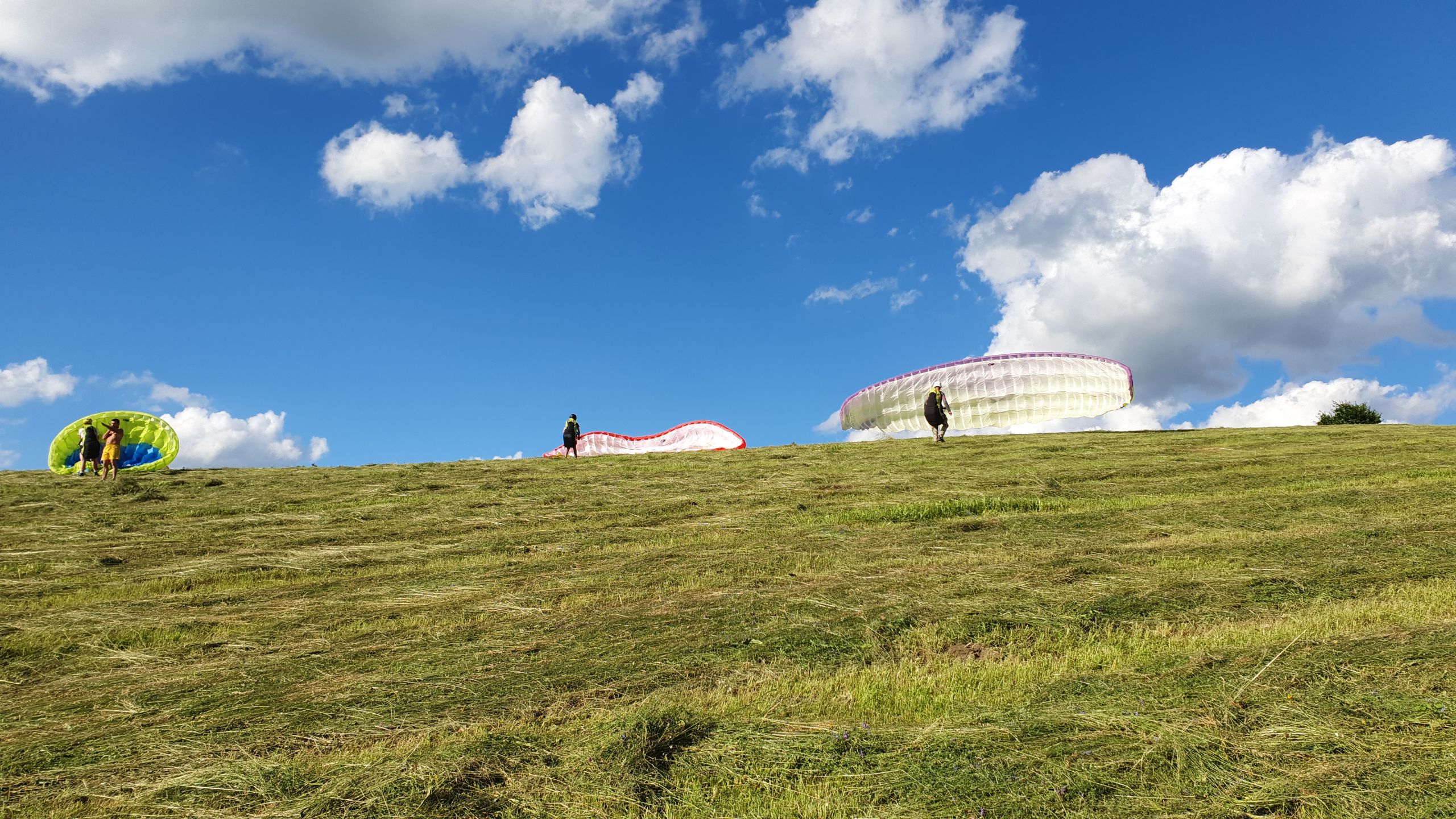 UP D5 SK Spring X Air