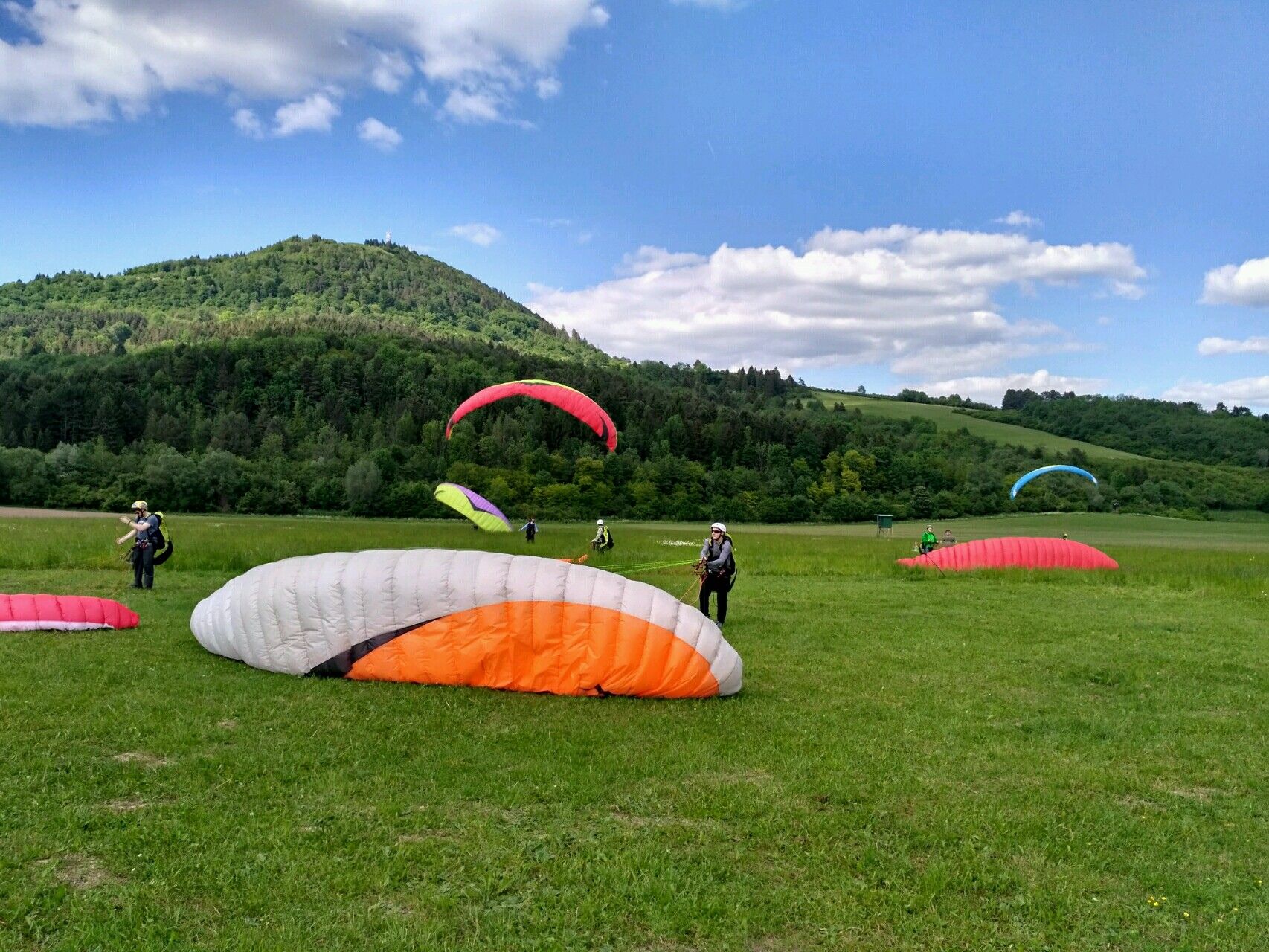 UP D5 SK Spring X Air