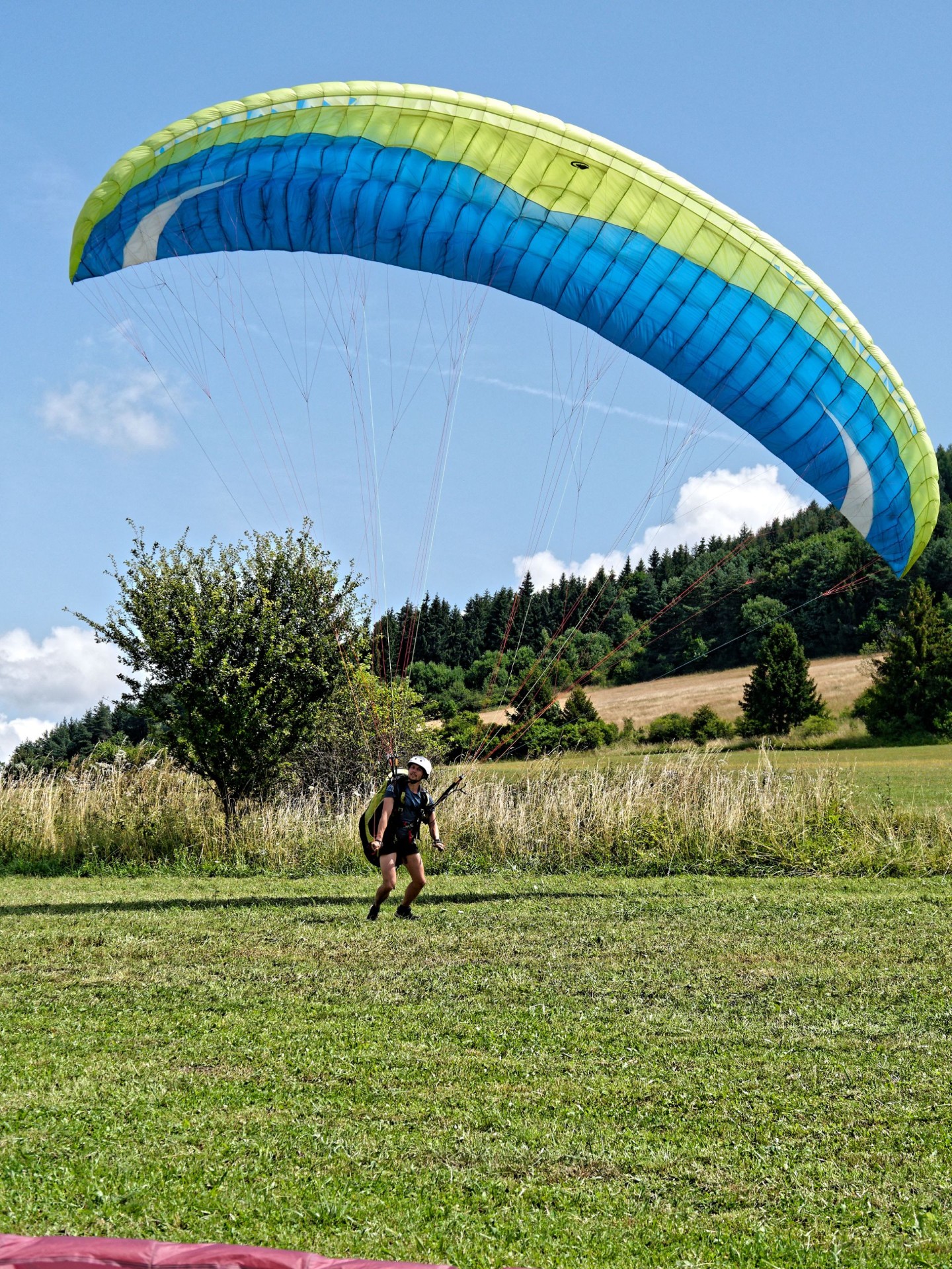 UP D5 SK Spring X Air