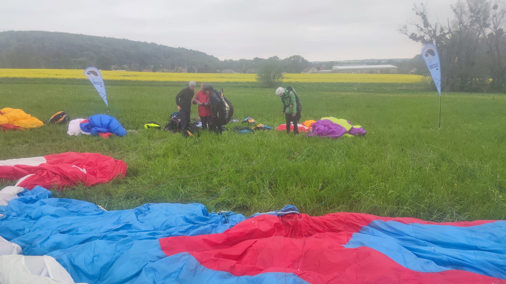 UP D6 CZ Spring PG Hnizdo