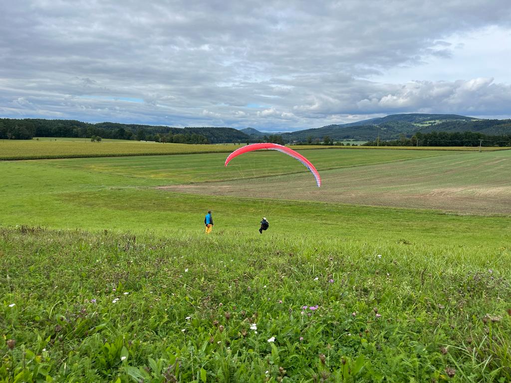 UP D7 CZ Autumn Fly4You