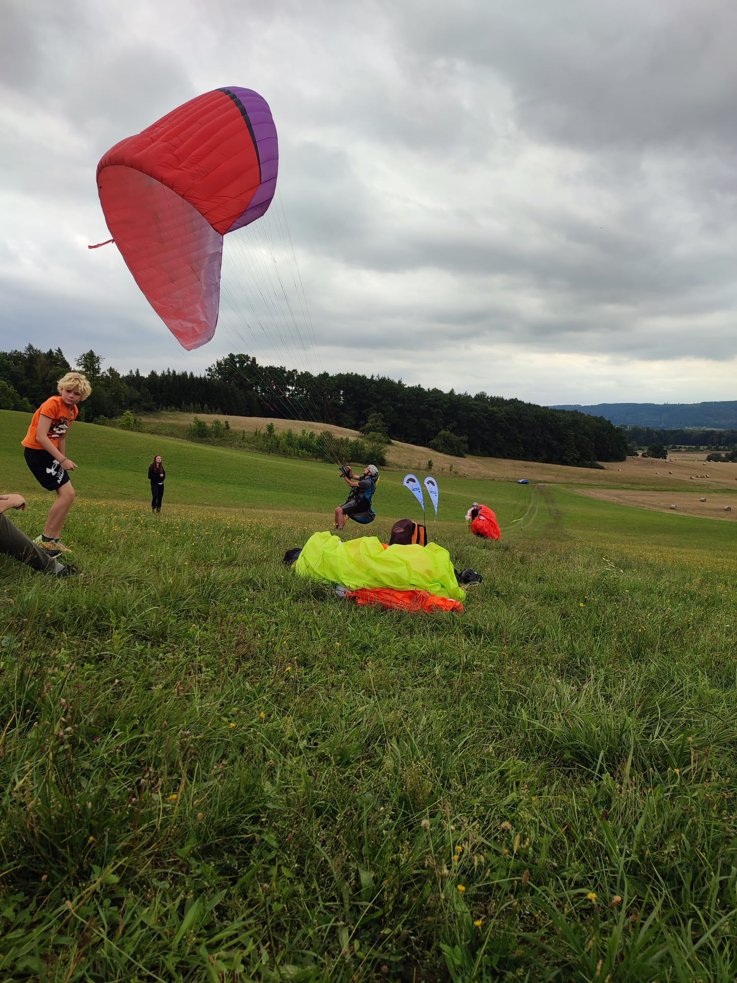 UP D7 CZ Autumn Fly4You