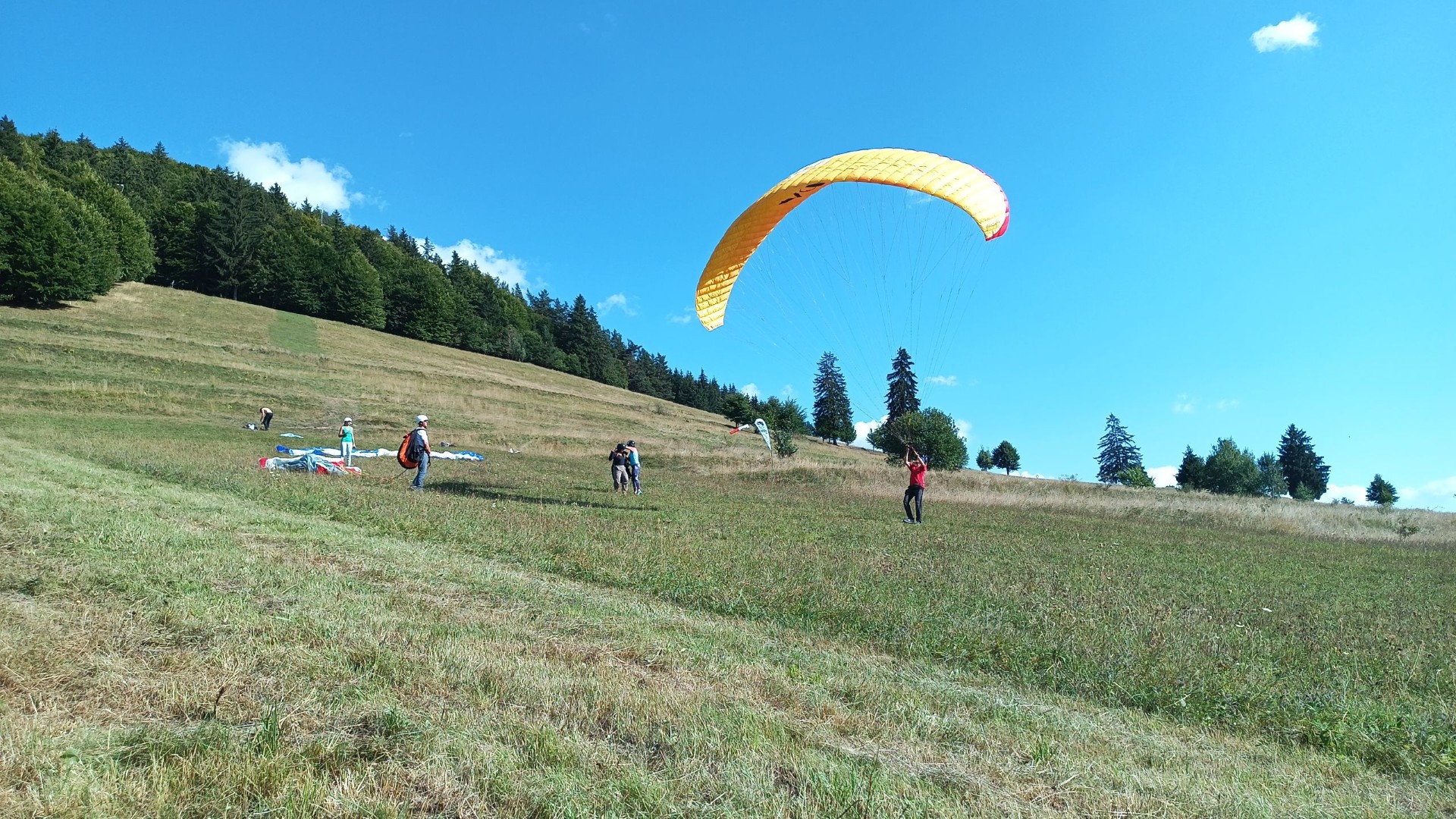 UP D8 RO Spring Turbulencia