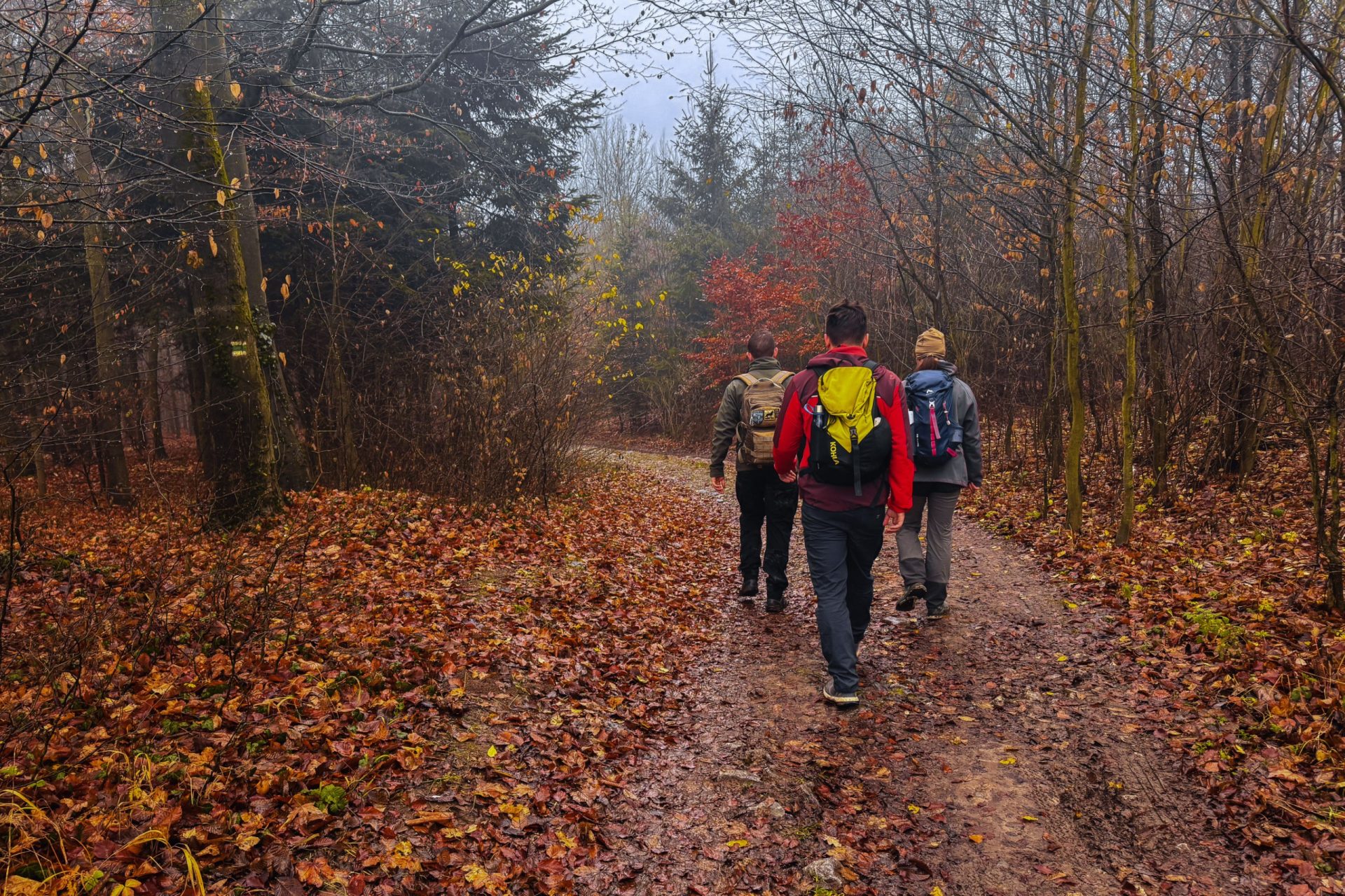 Hike in Moravsky kras