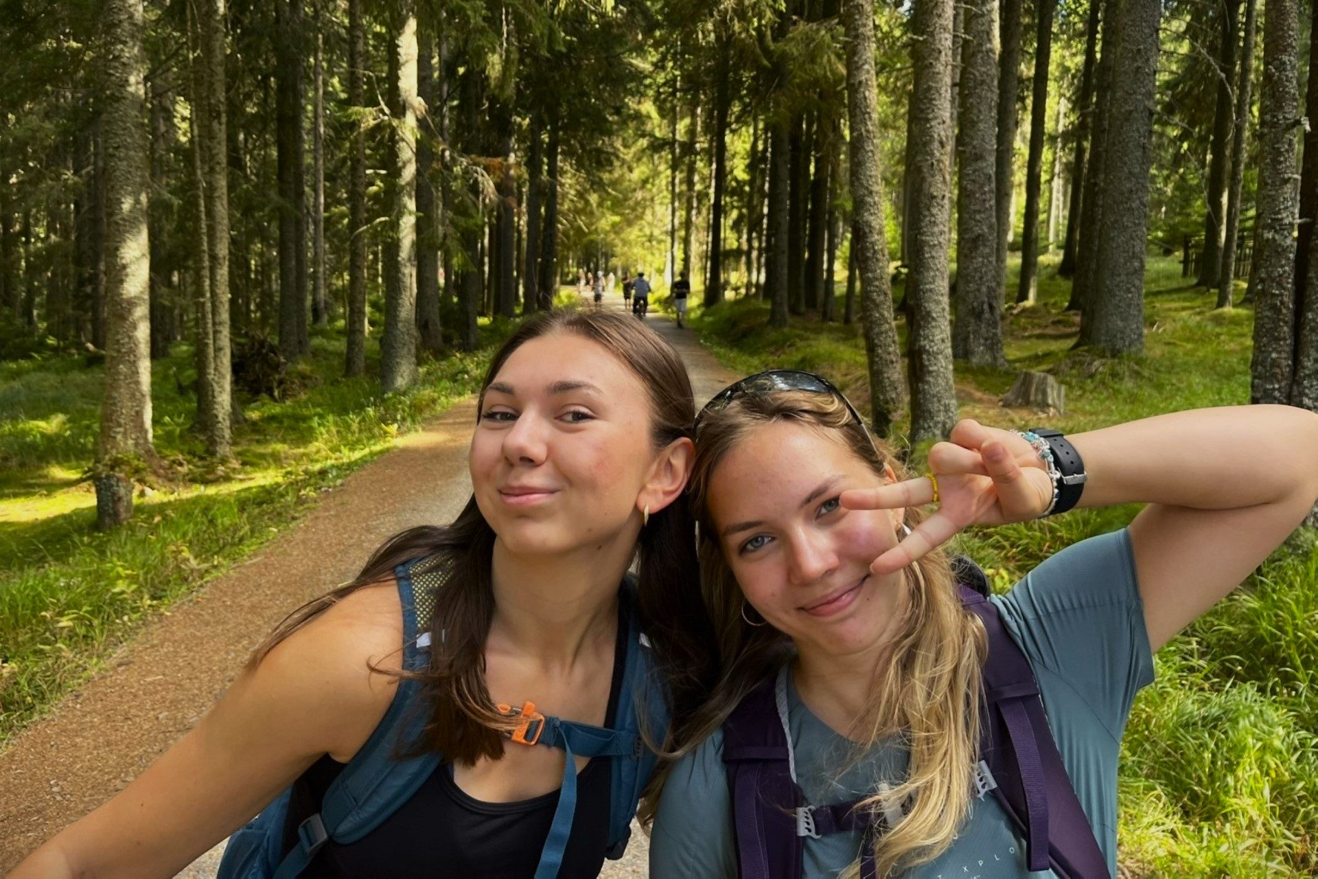 Hike In Sumava Mountains IMG 7704