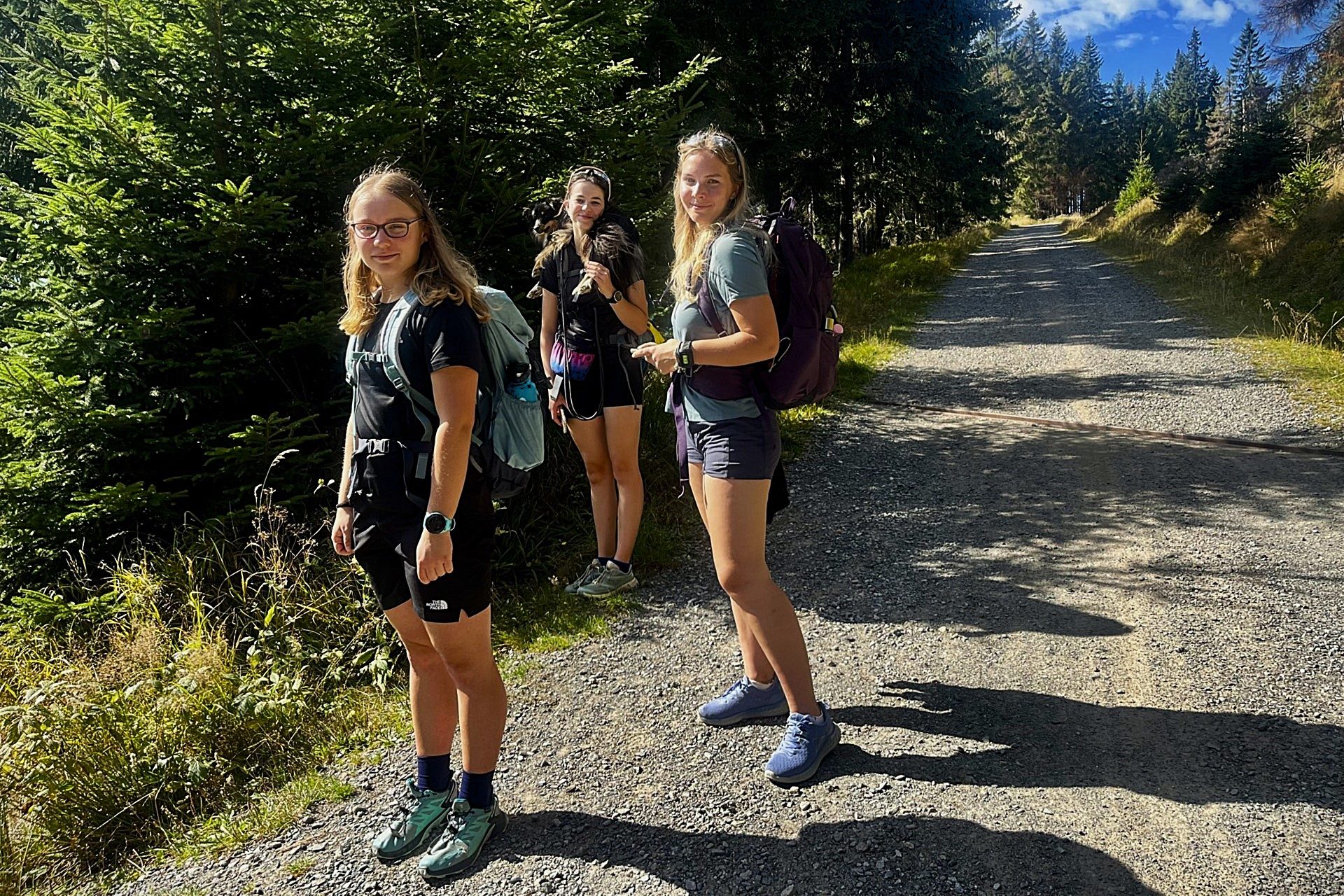 Hike In Sumava Mountains IMG 7756