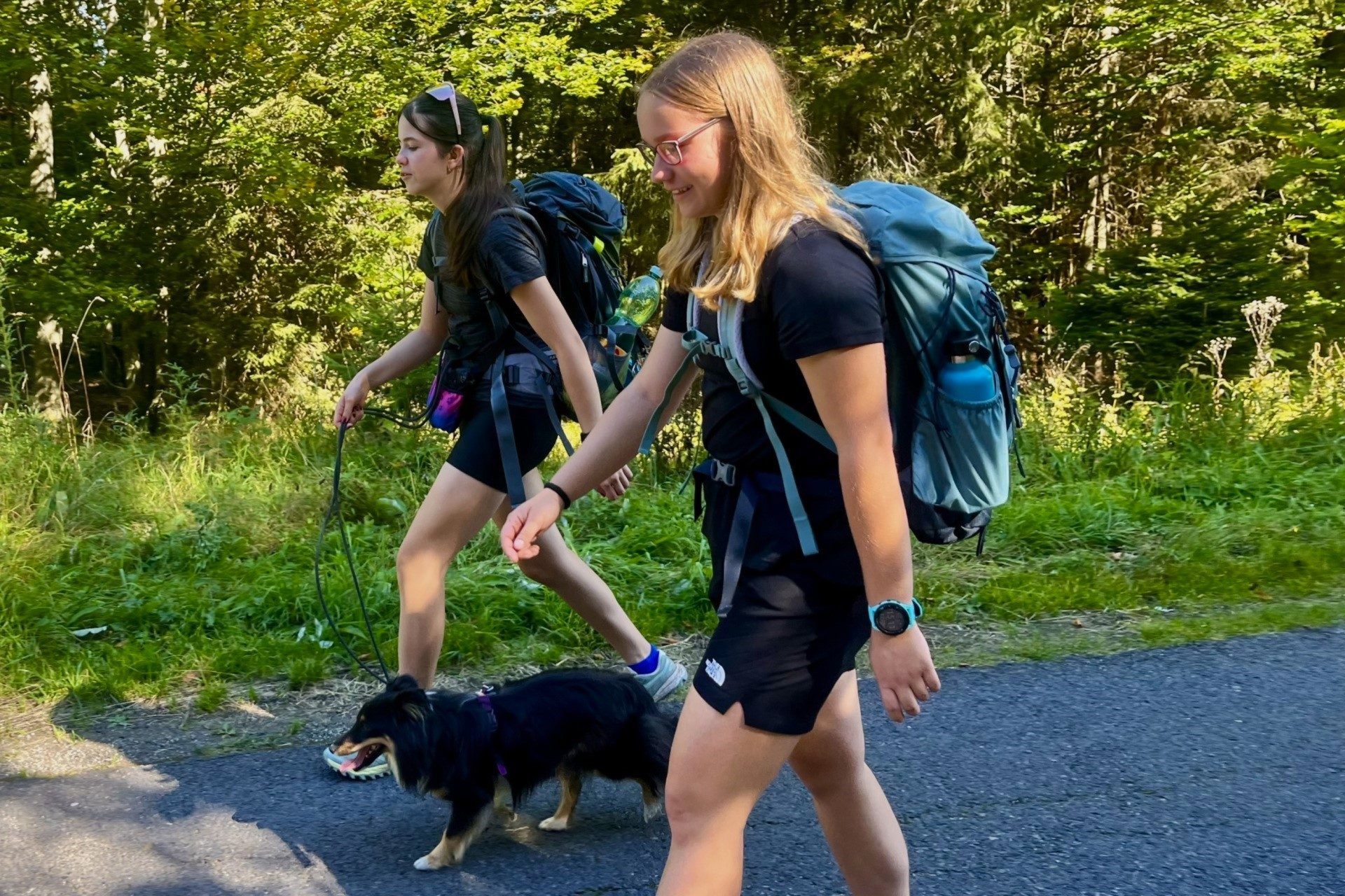 Hike In Sumava Mountains IMG 7795