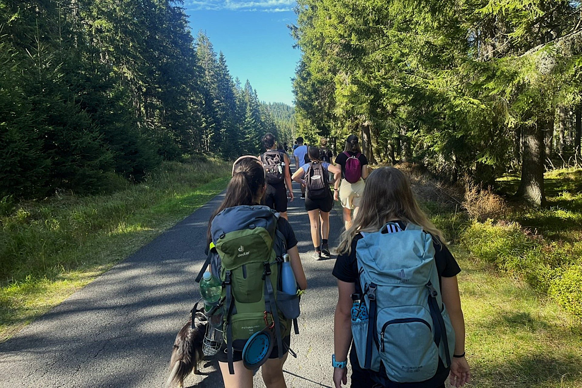 Hike In Sumava Mountains IMG 7798