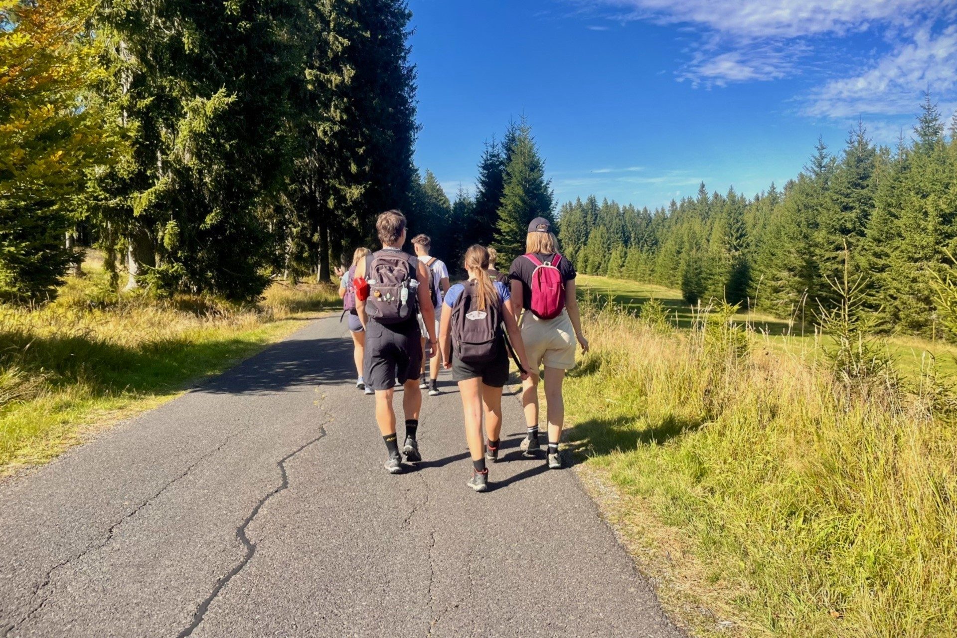 Hike In Sumava Mountains IMG 7812