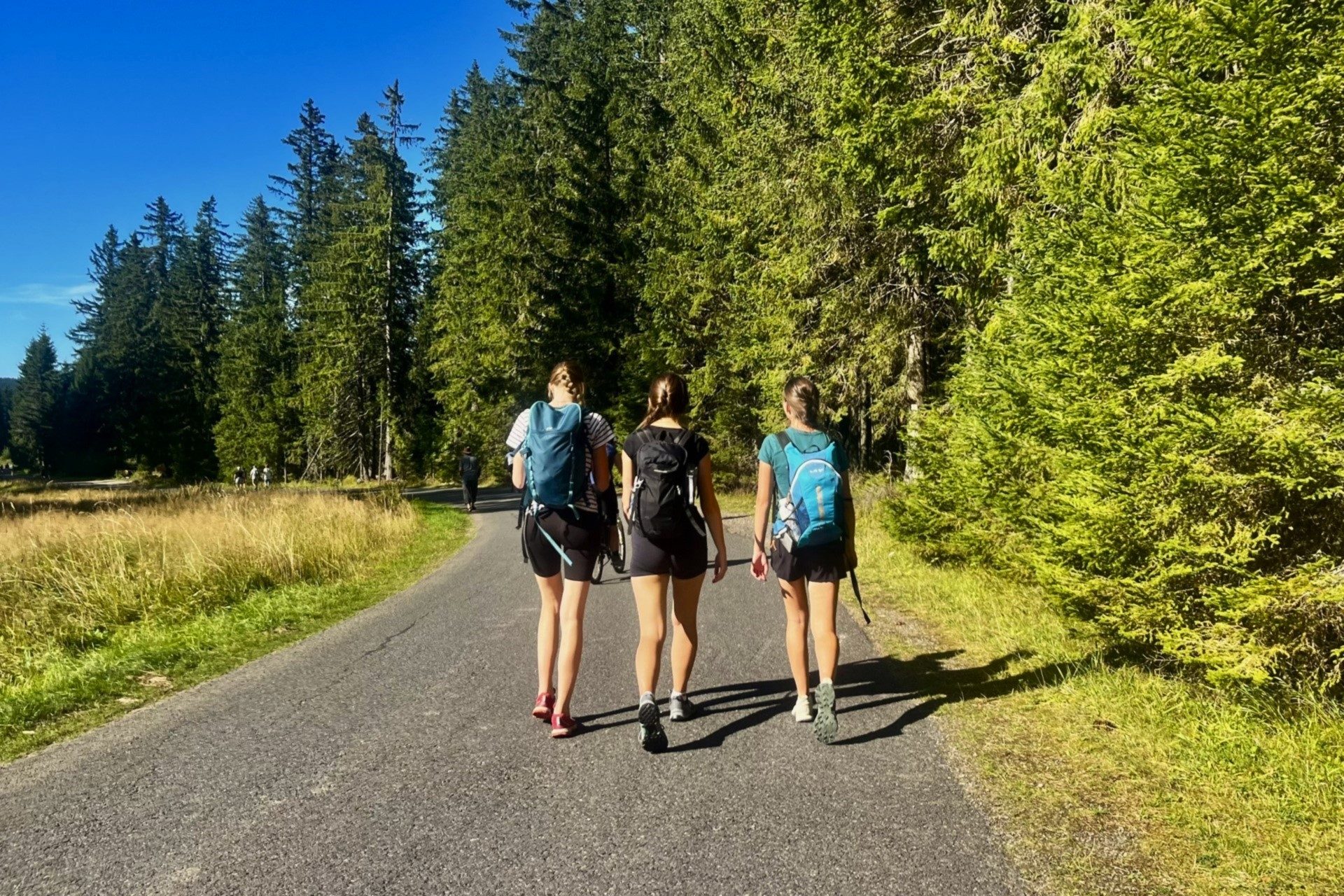 Hike In Sumava Mountains IMG 7825
