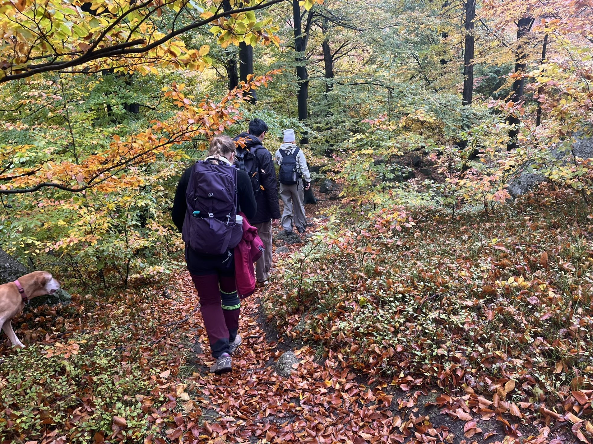 Hike in Jizerske Hory