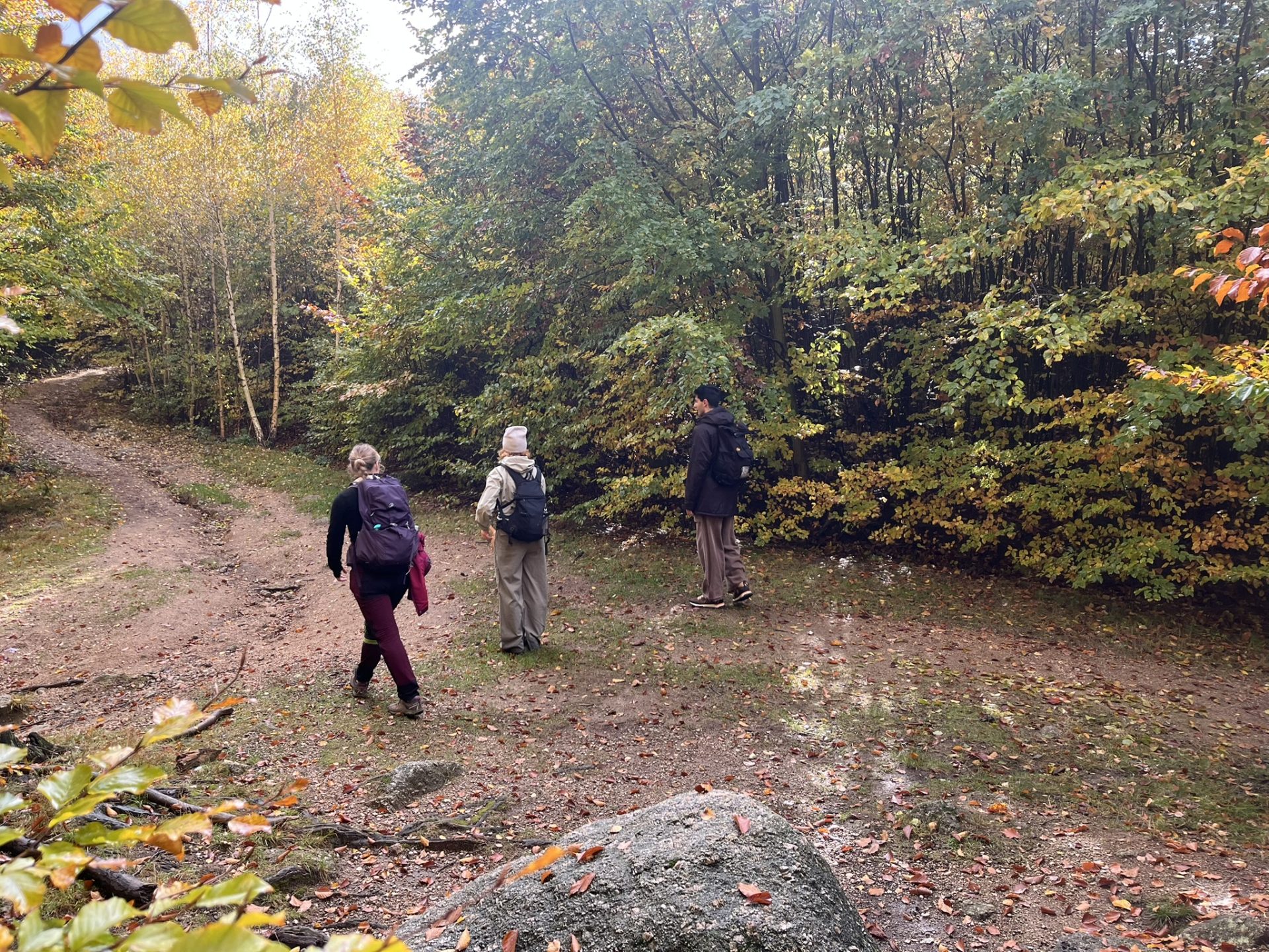 Hike In Jizerskehory IMG 8255