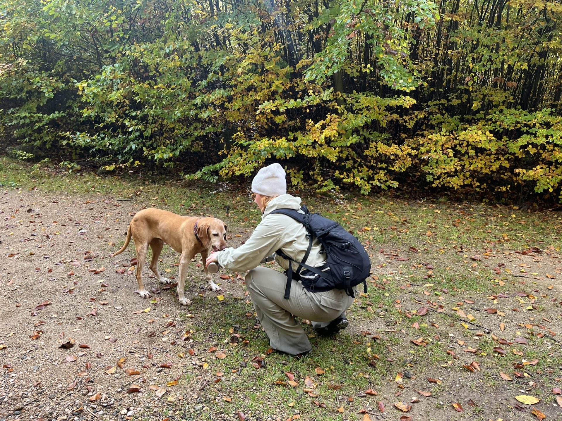 Hike In Jizerskehory IMG 8257