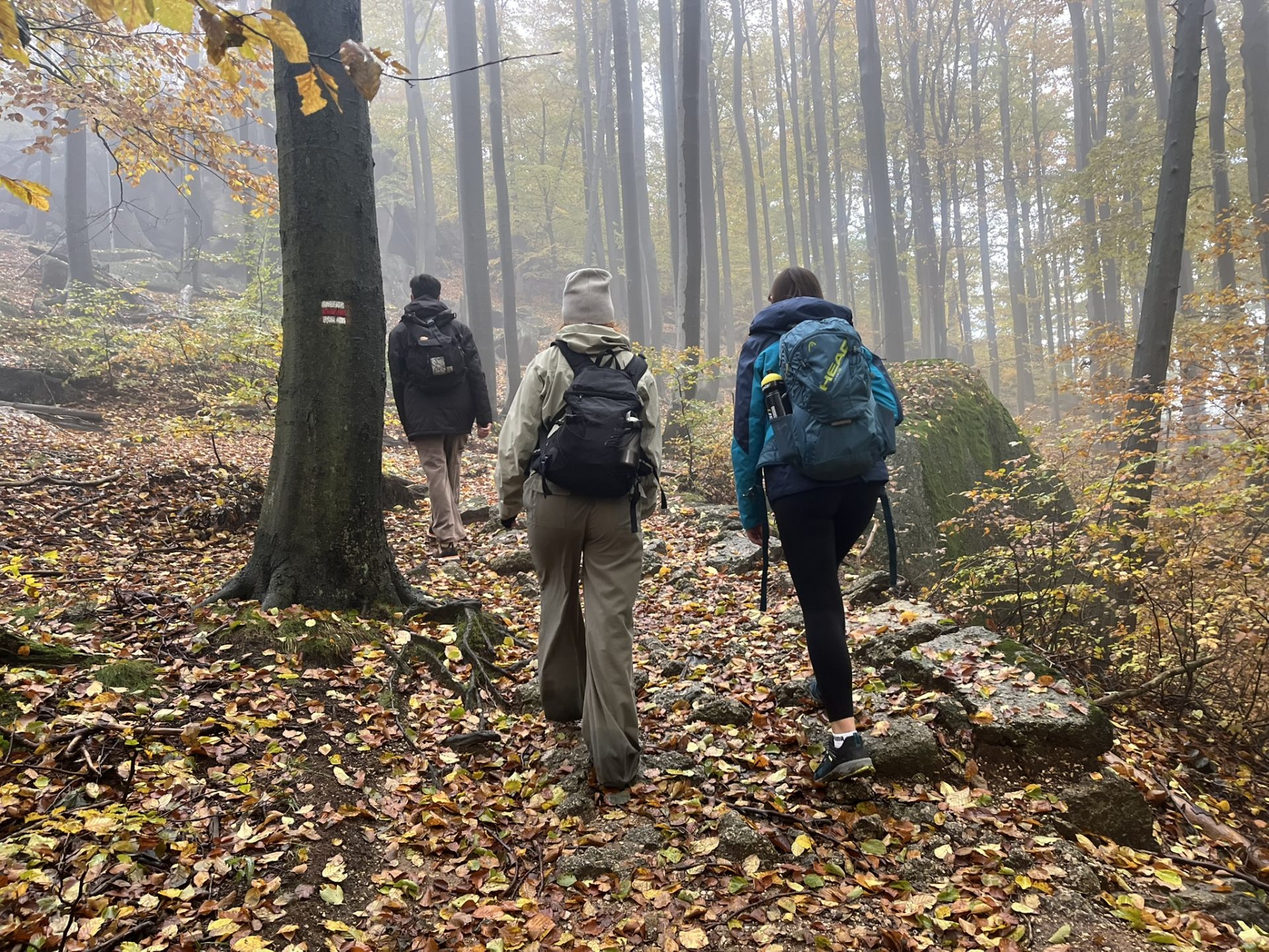 Hike In Jizerskehory IMG 8272