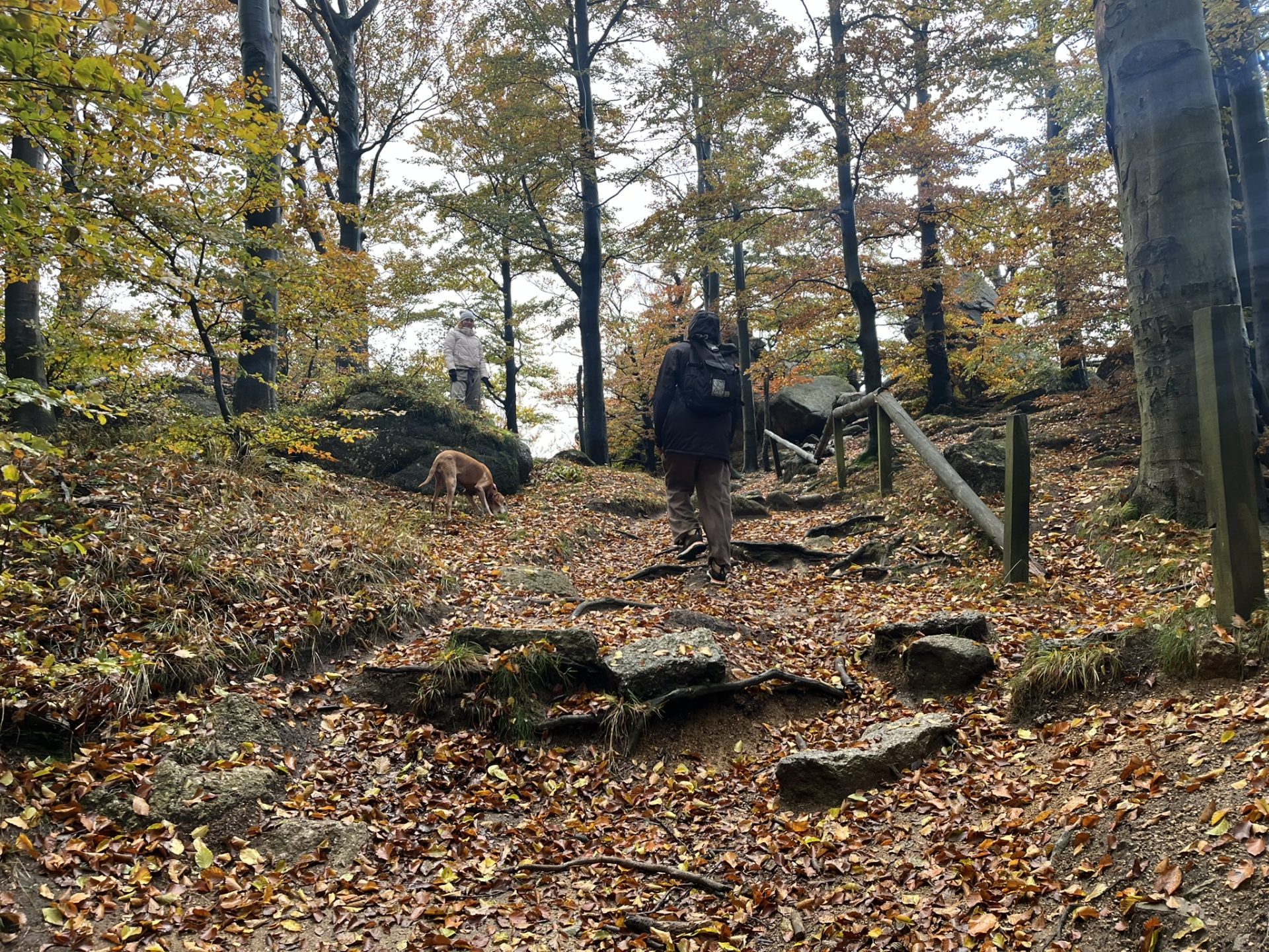 Hike In Jizerskehory IMG 8354