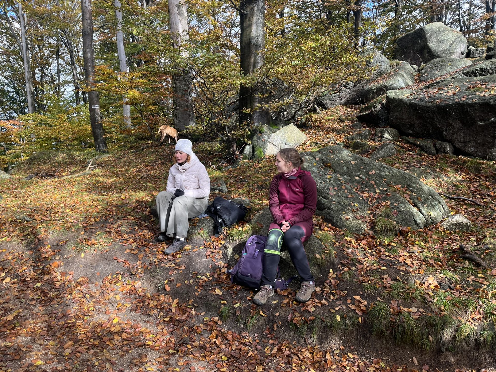 Hike In Jizerskehory IMG 8357