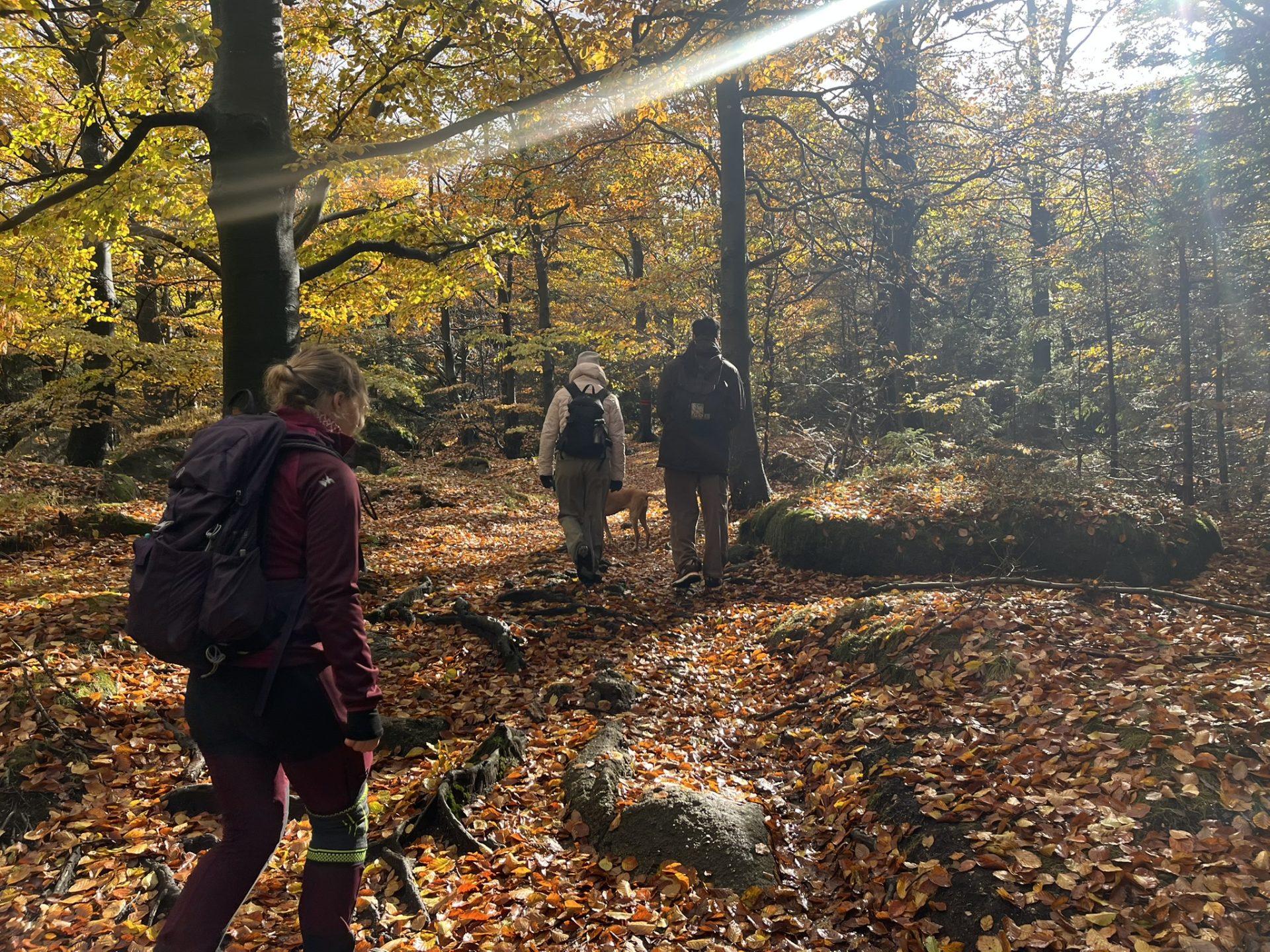 Hike In Jizerskehory IMG 8359