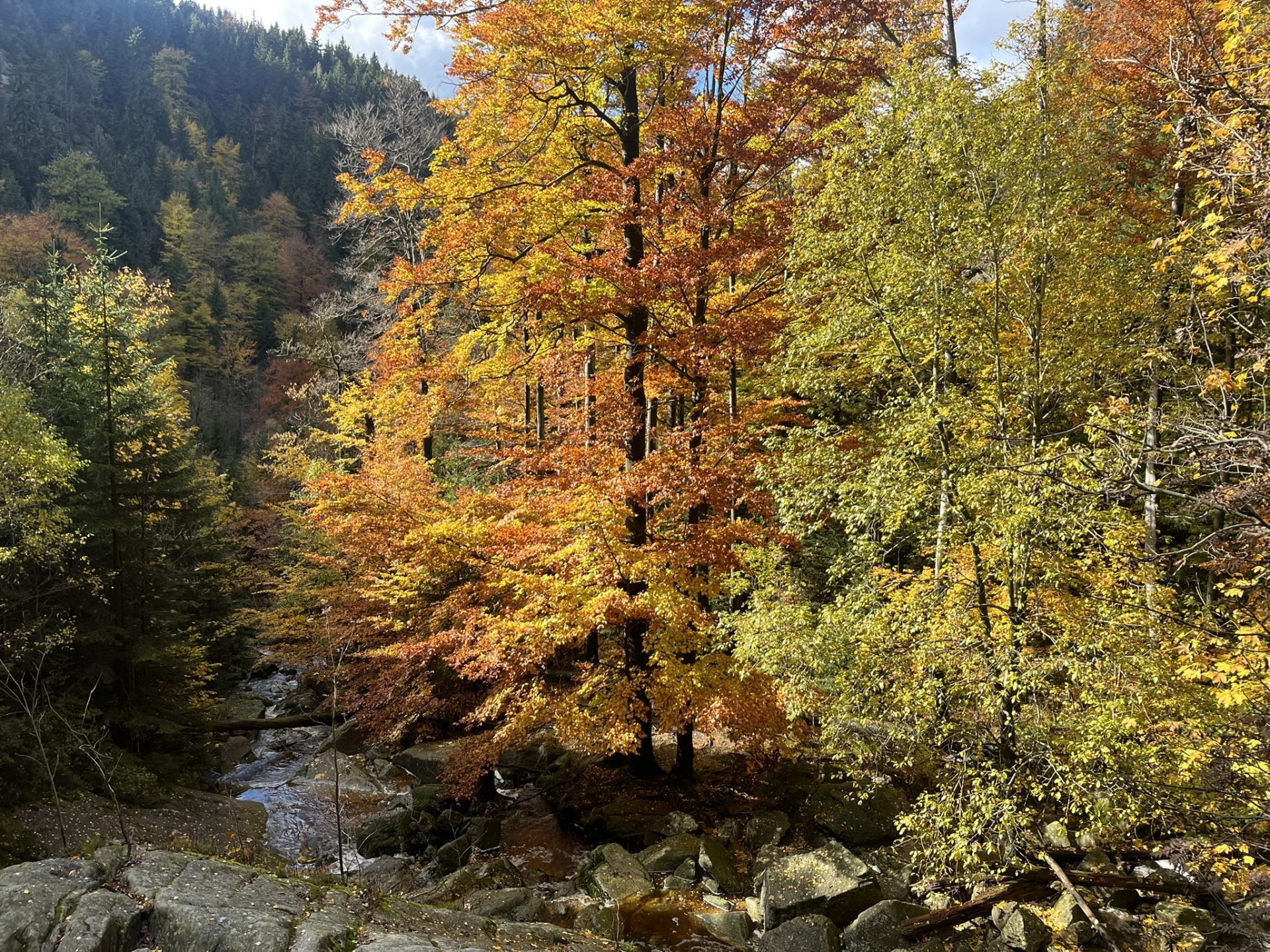 Hike In Jizerskehory IMG 8372