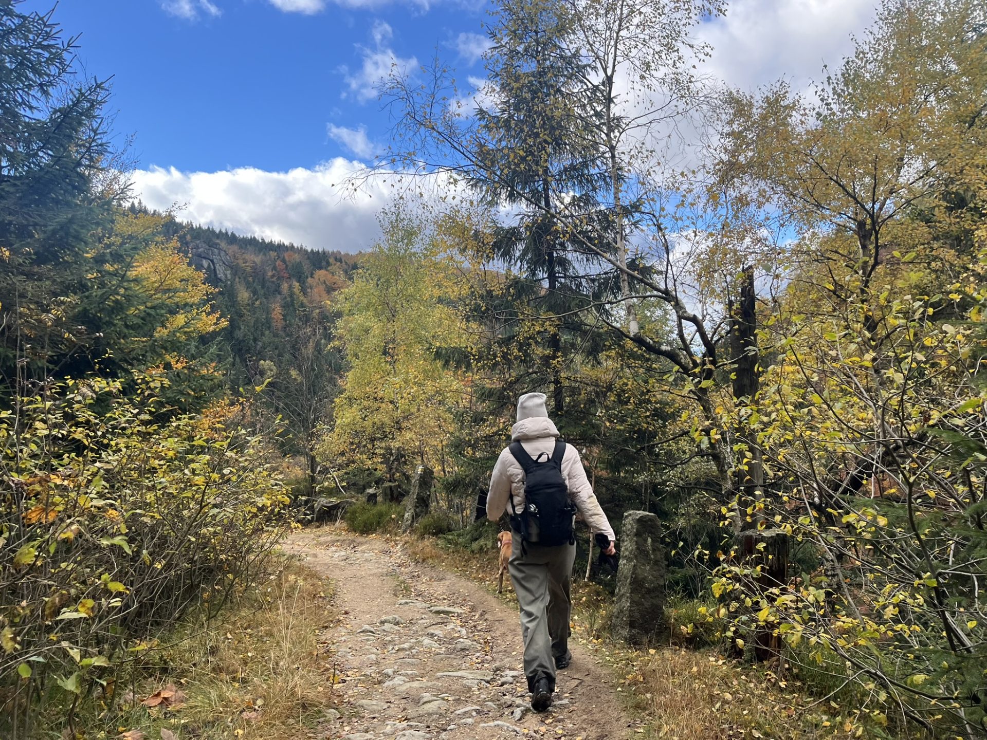 Hike In Jizerskehory IMG 8403