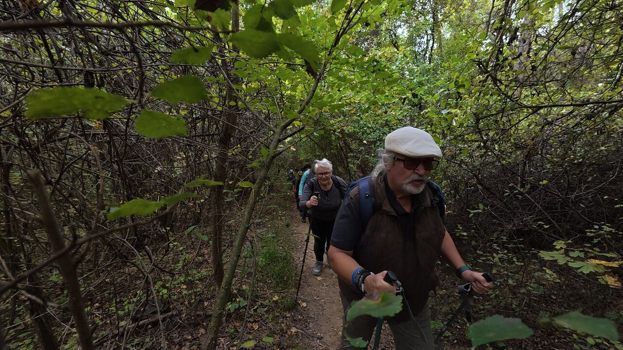 Hike In Biatorbagy DJI 20250928110359 0292 D CJE