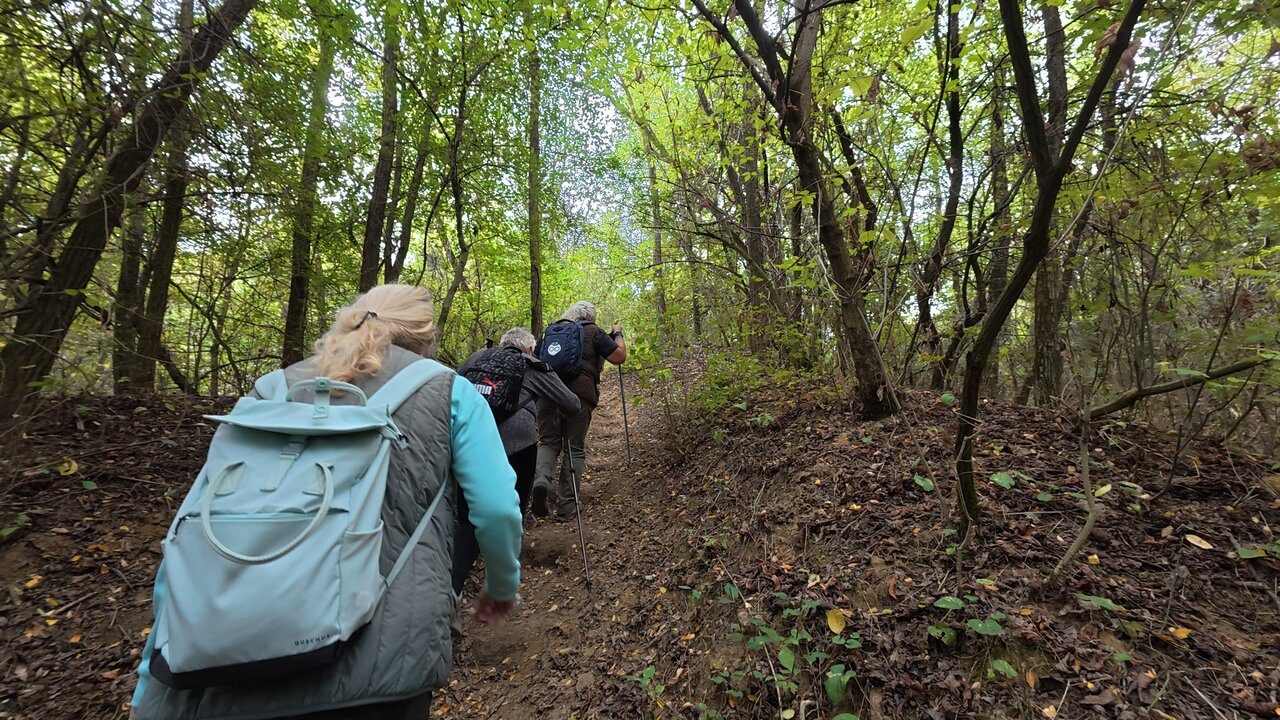 Hike In Biatorbagy DJI 20250928111054 0296 D CJE