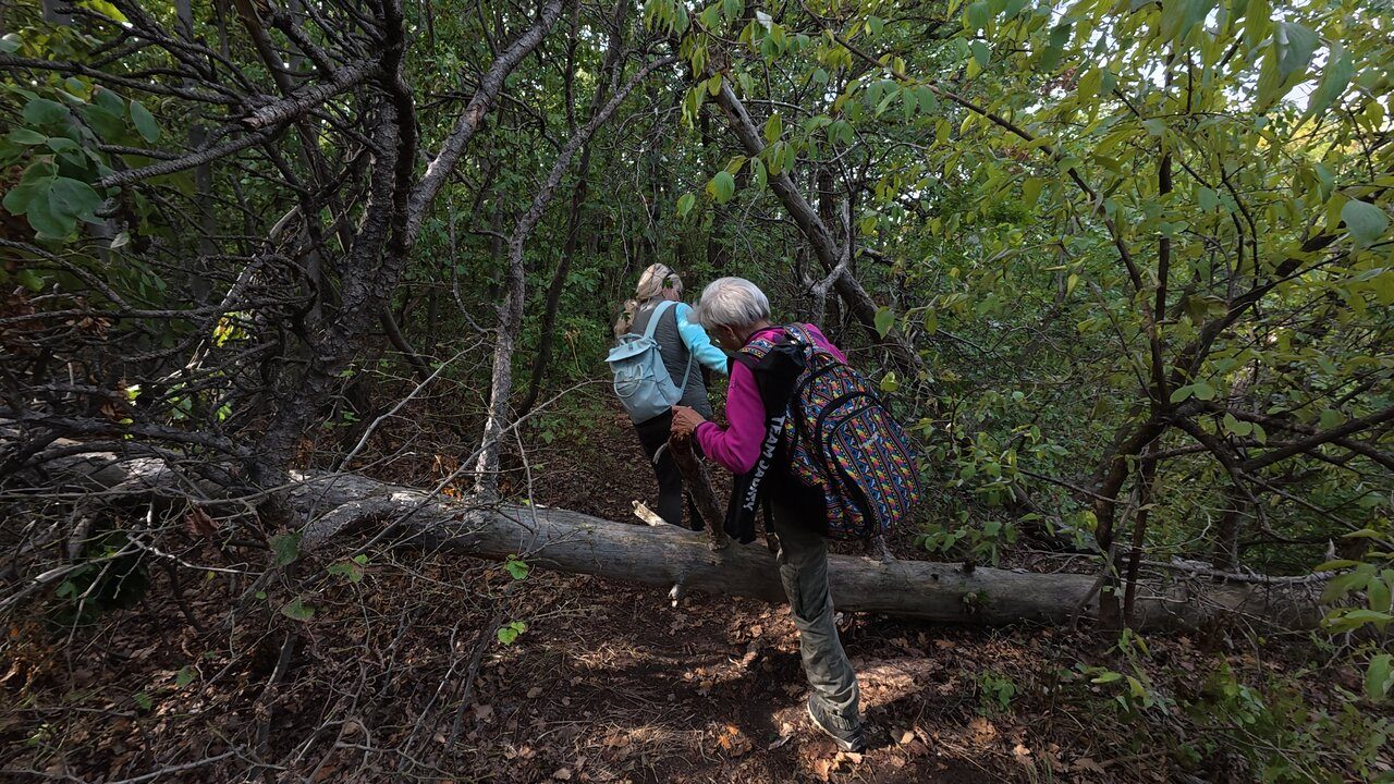 Hike In Biatorbagy DJI 20250928114137 0309 D CJE