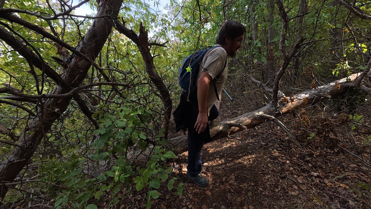 Hike In Biatorbagy DJI 20250928114147 0310 D CJE