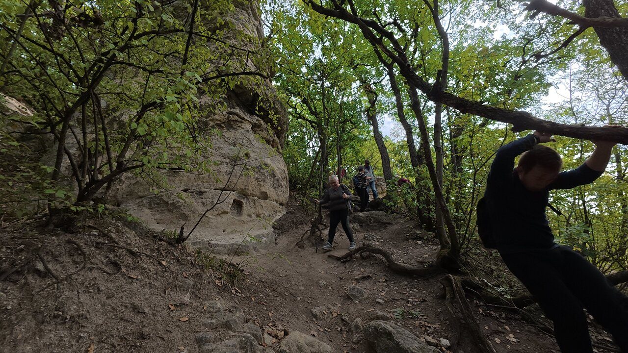 Hike In Biatorbagy DJI 20250928121309 0318 D CJE