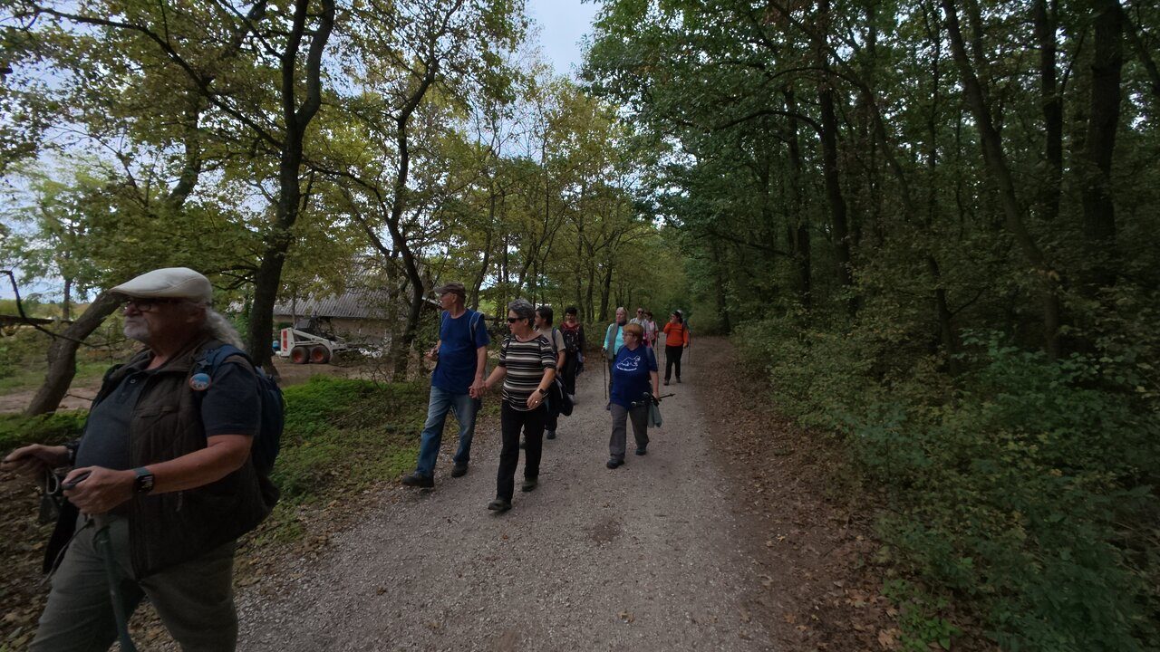 Hike In Biatorbagy DJI 20250928132040 0353 D CJE