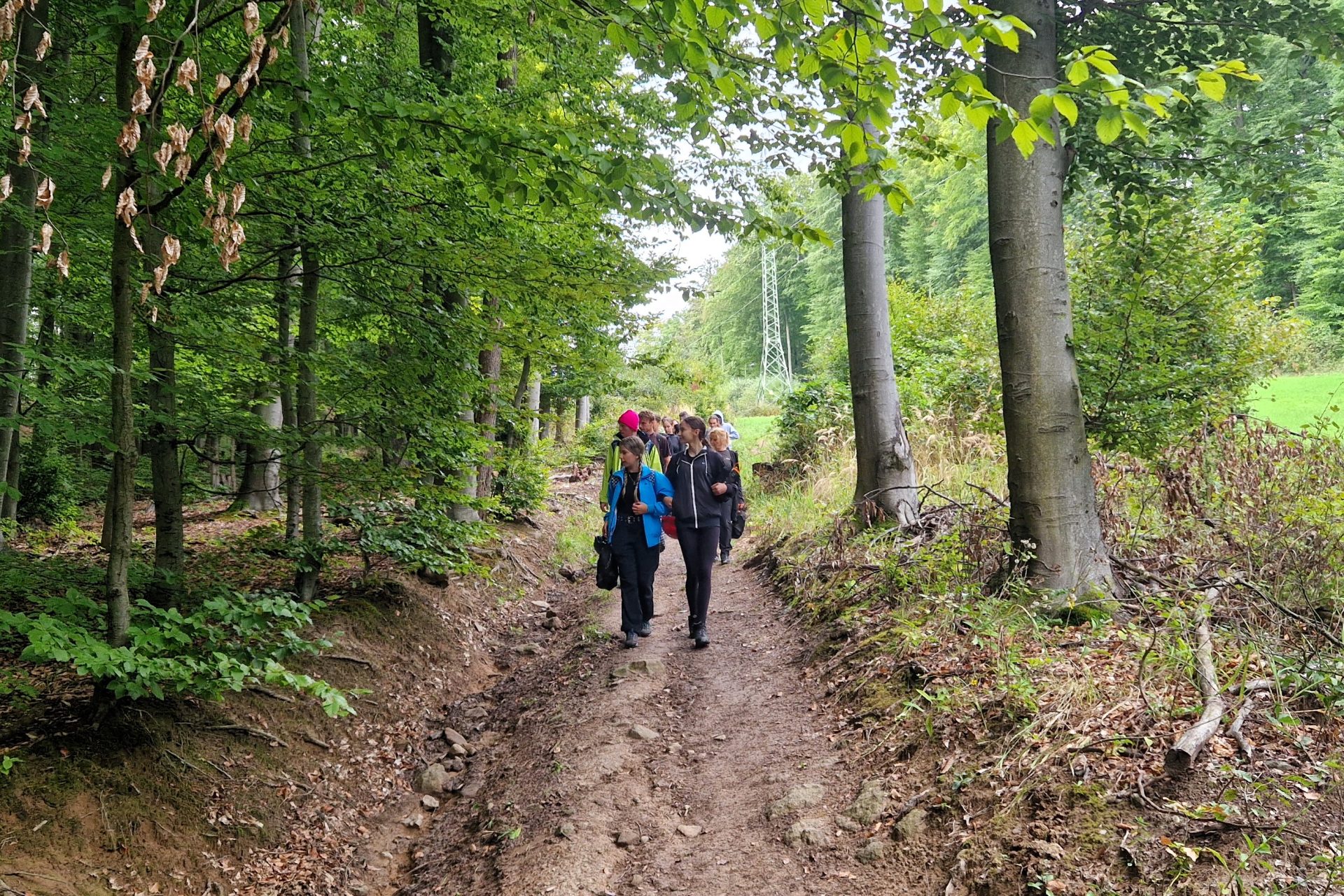 Hikein Zvolenskakotlina
