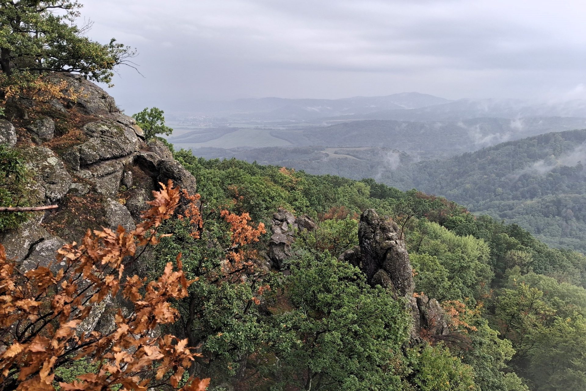 Hikein Cerovavrchovina