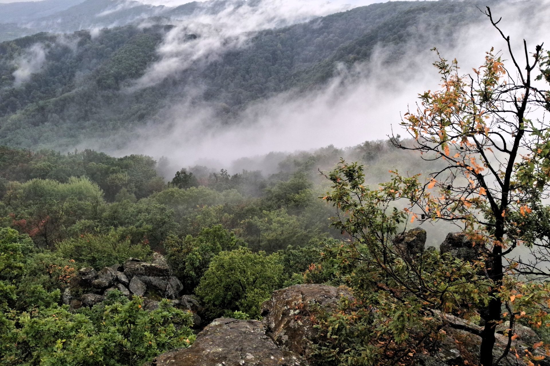 Hikein Cerovavrchovina