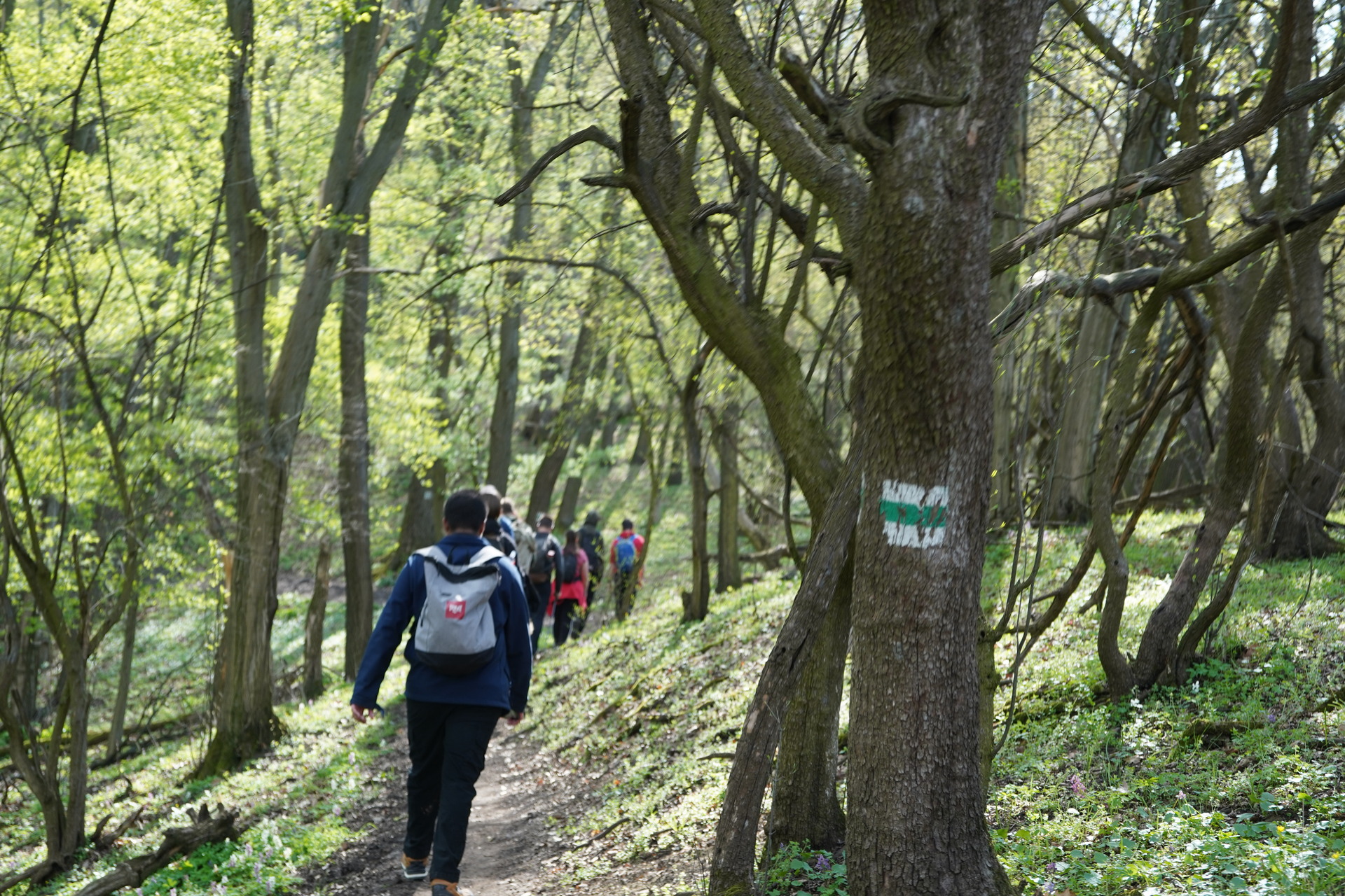 HUHSM1 Hike In Visegrad