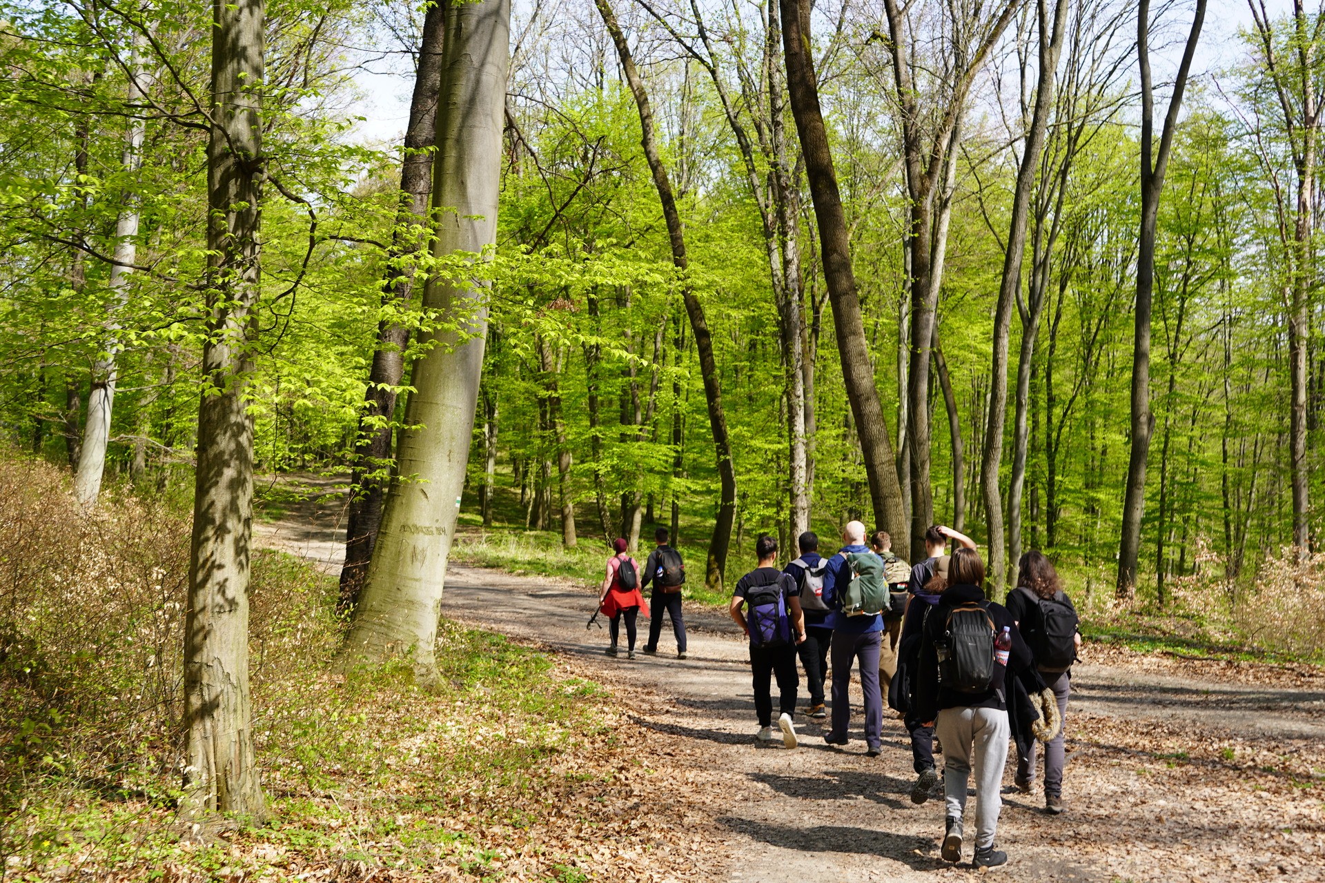 HUHSM1 Hike In Visegrad