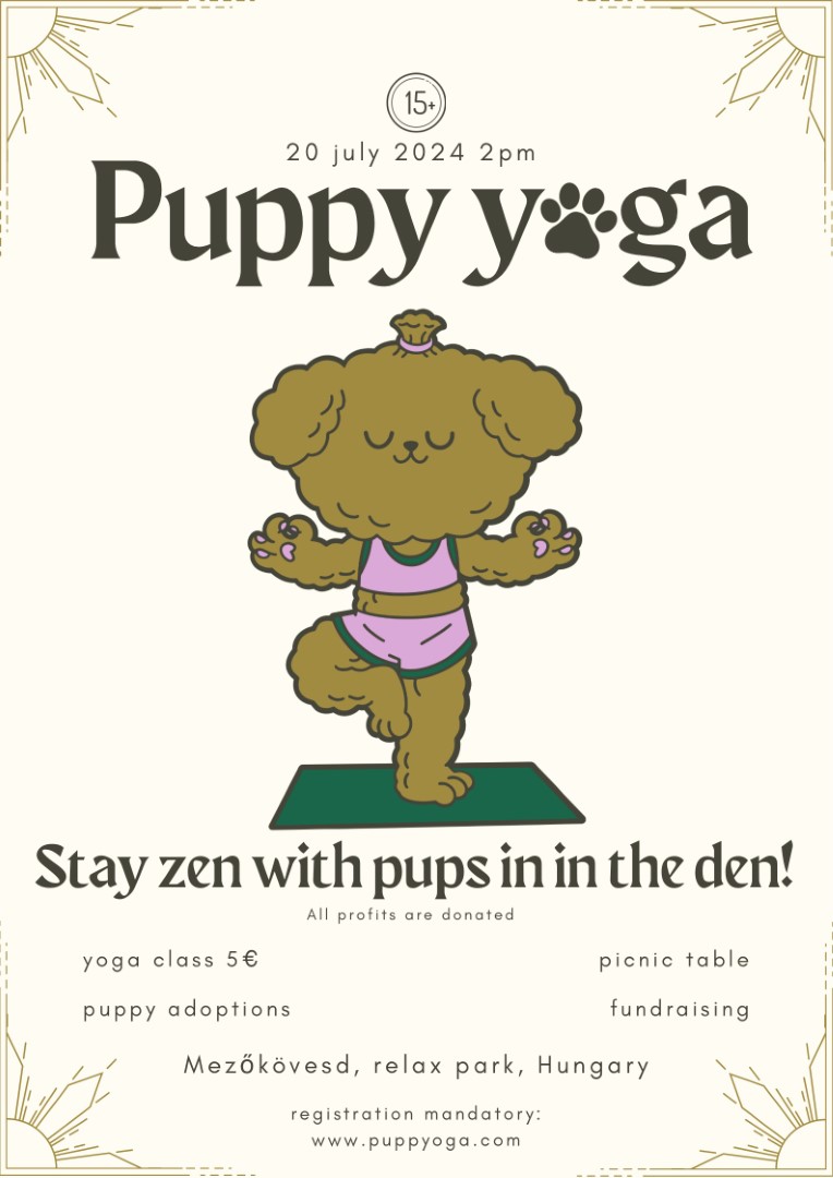 Health Heroes PAX poster