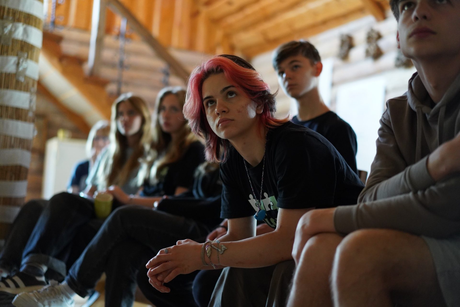 TBB LT Vilijos Cepulienessodyba